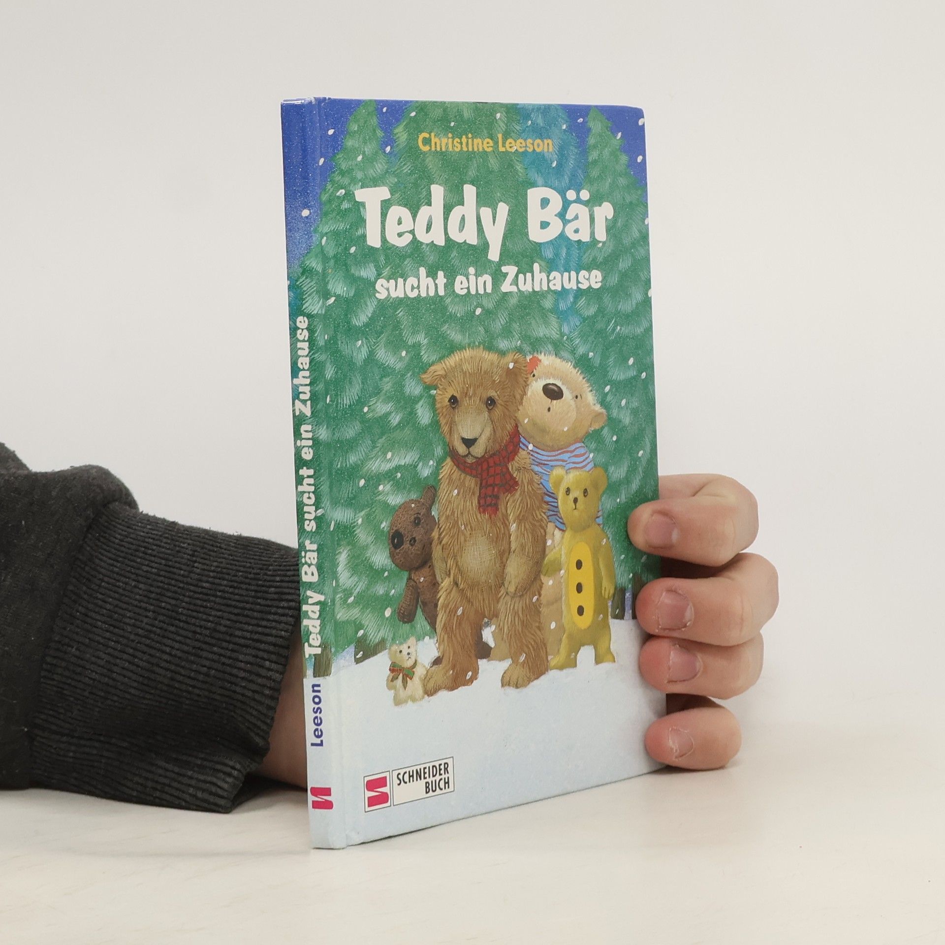 Autorenkollektiv Teddy Bär sucht ein Zuhause