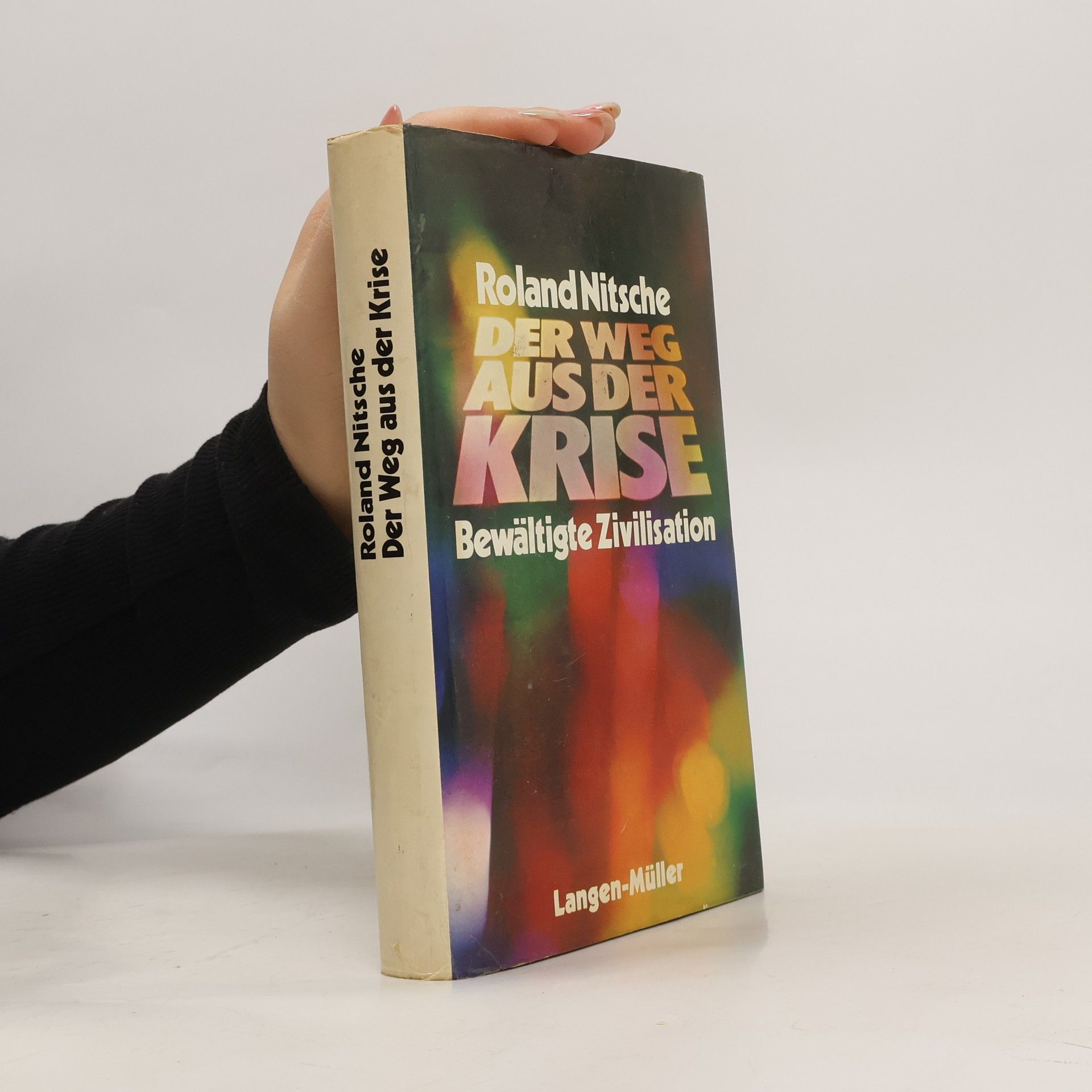 Roland Nitsche Der Weg aus der Krise