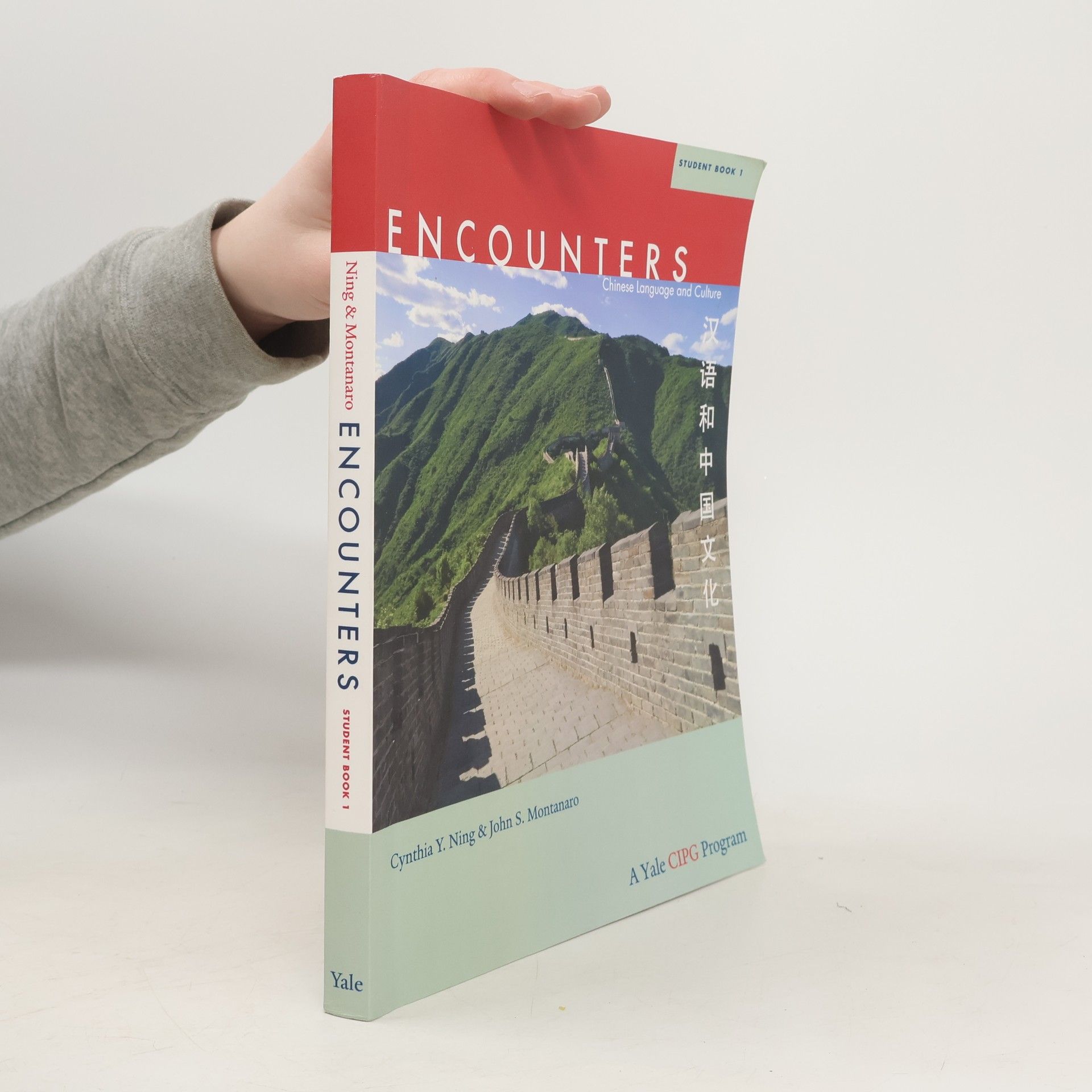 Cynthia Y. Ning Encounters