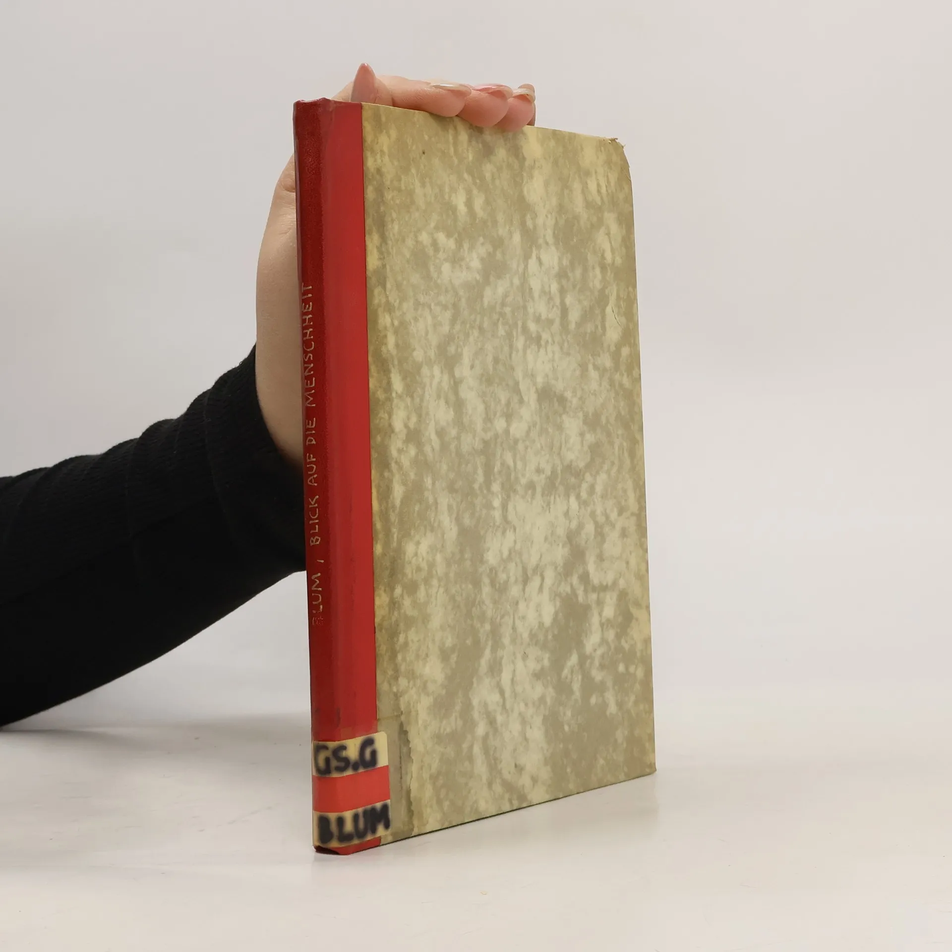 Blick auf die Menschheit | Book | Hardcover | Léon Blum | DE
