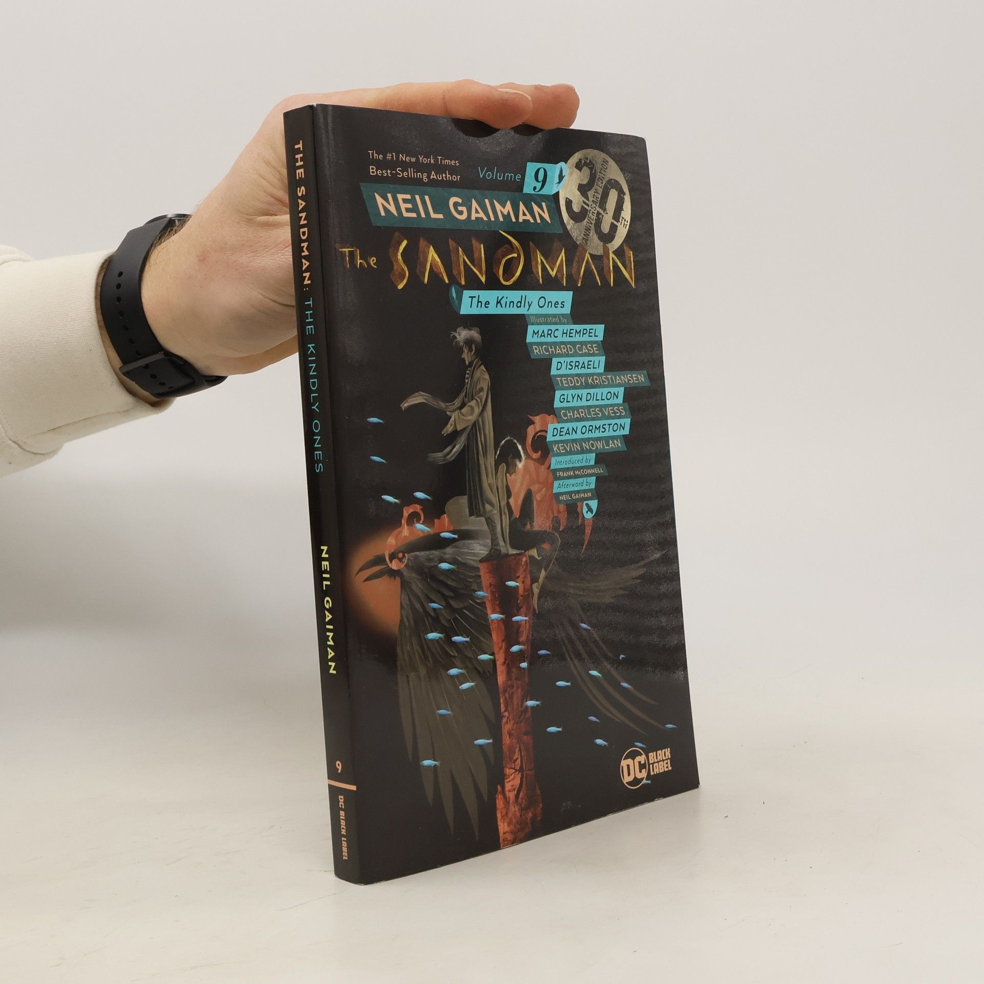Neil Gaiman Sandman Volume 9: The Kindly Ones 30th Anniversary Edition