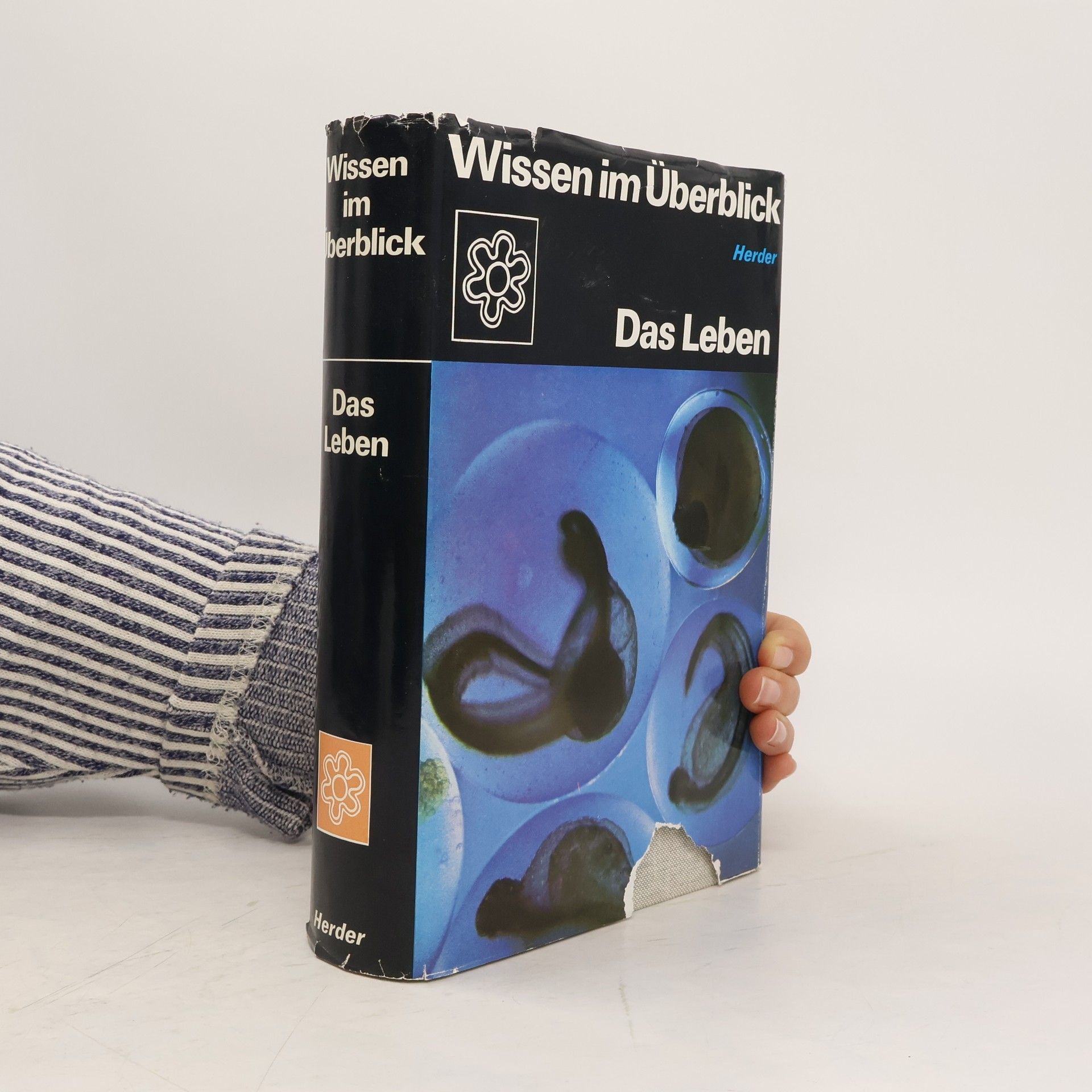 Collectif d'auteurs Wissen im Überblick. Das Leben