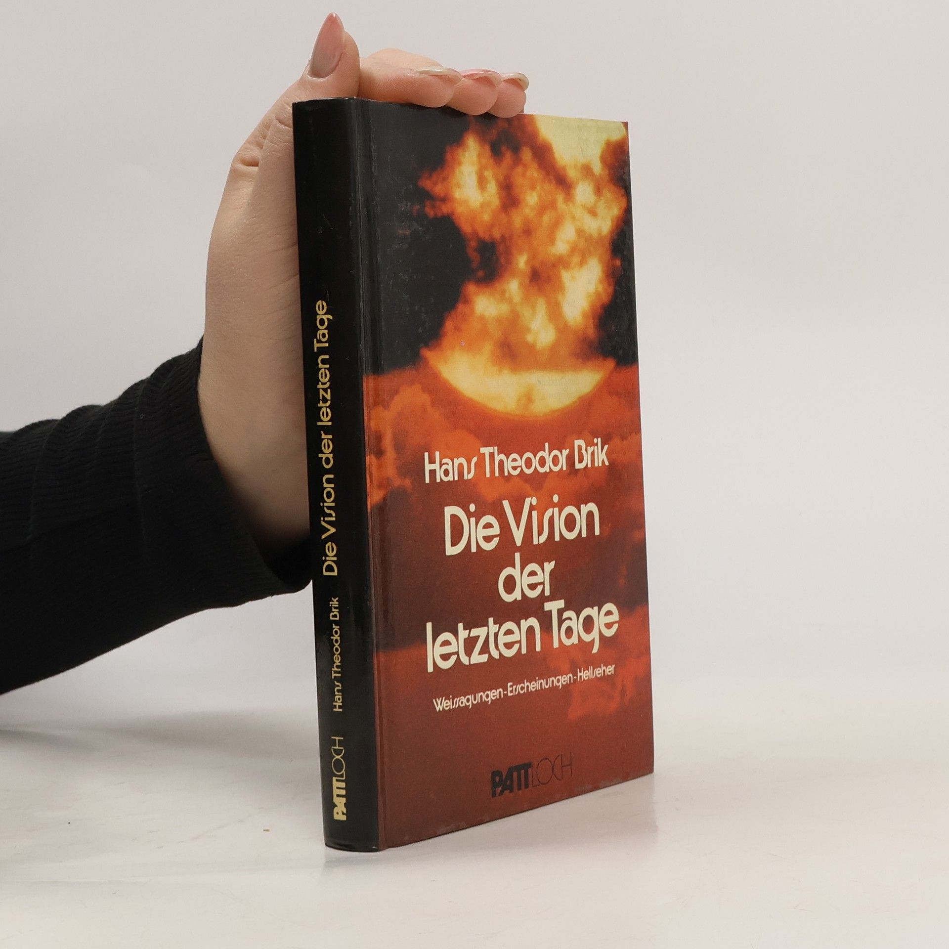 Hans Theodor Brik Die Vision der letzten Tage