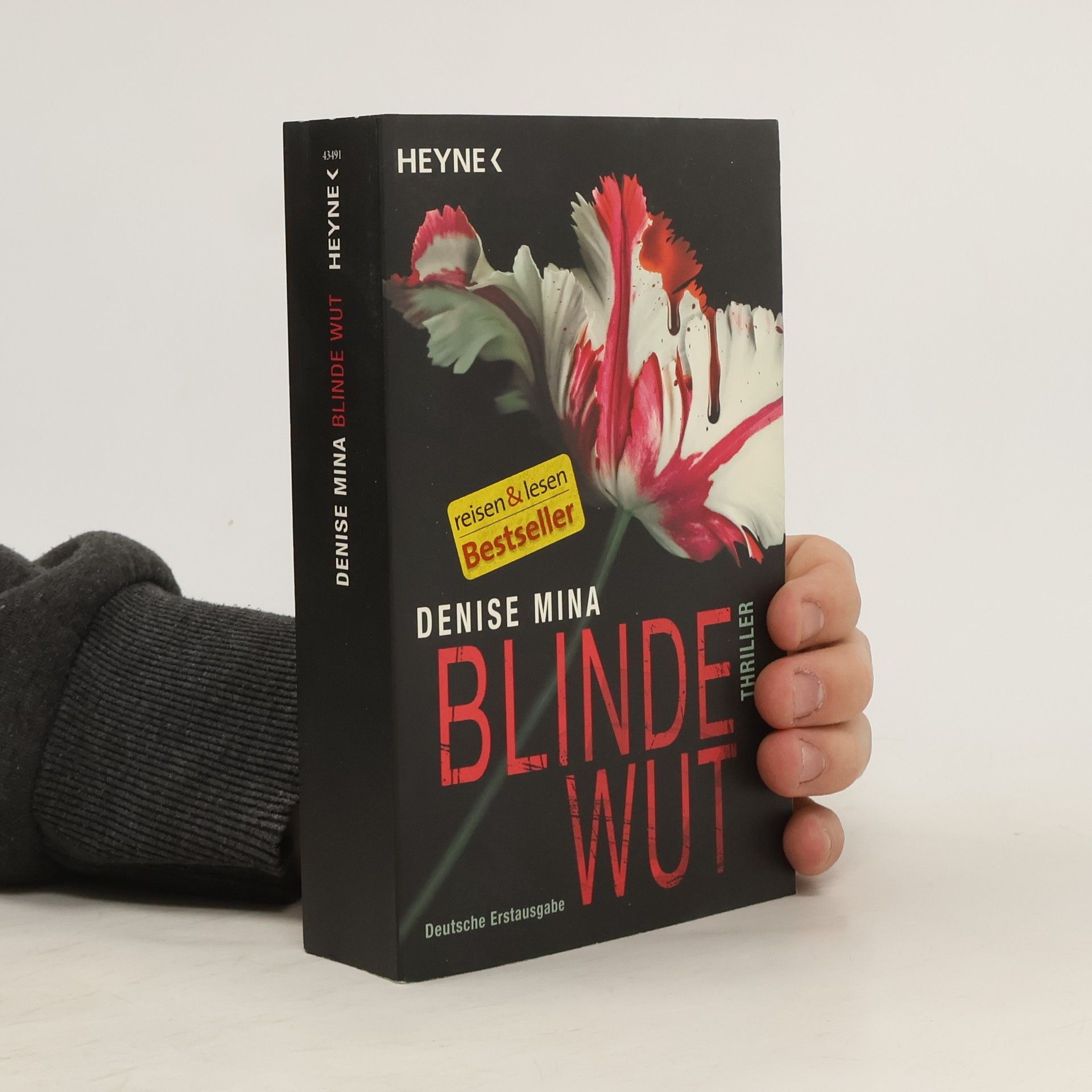 Denise Mina Blinde Wut