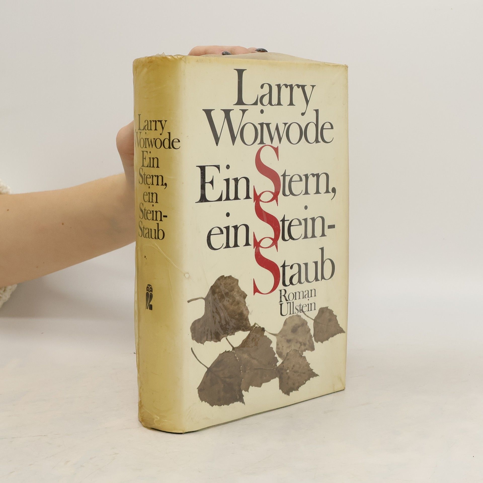 Larry Woiwode Ein Stern, ein Stein - Staub
