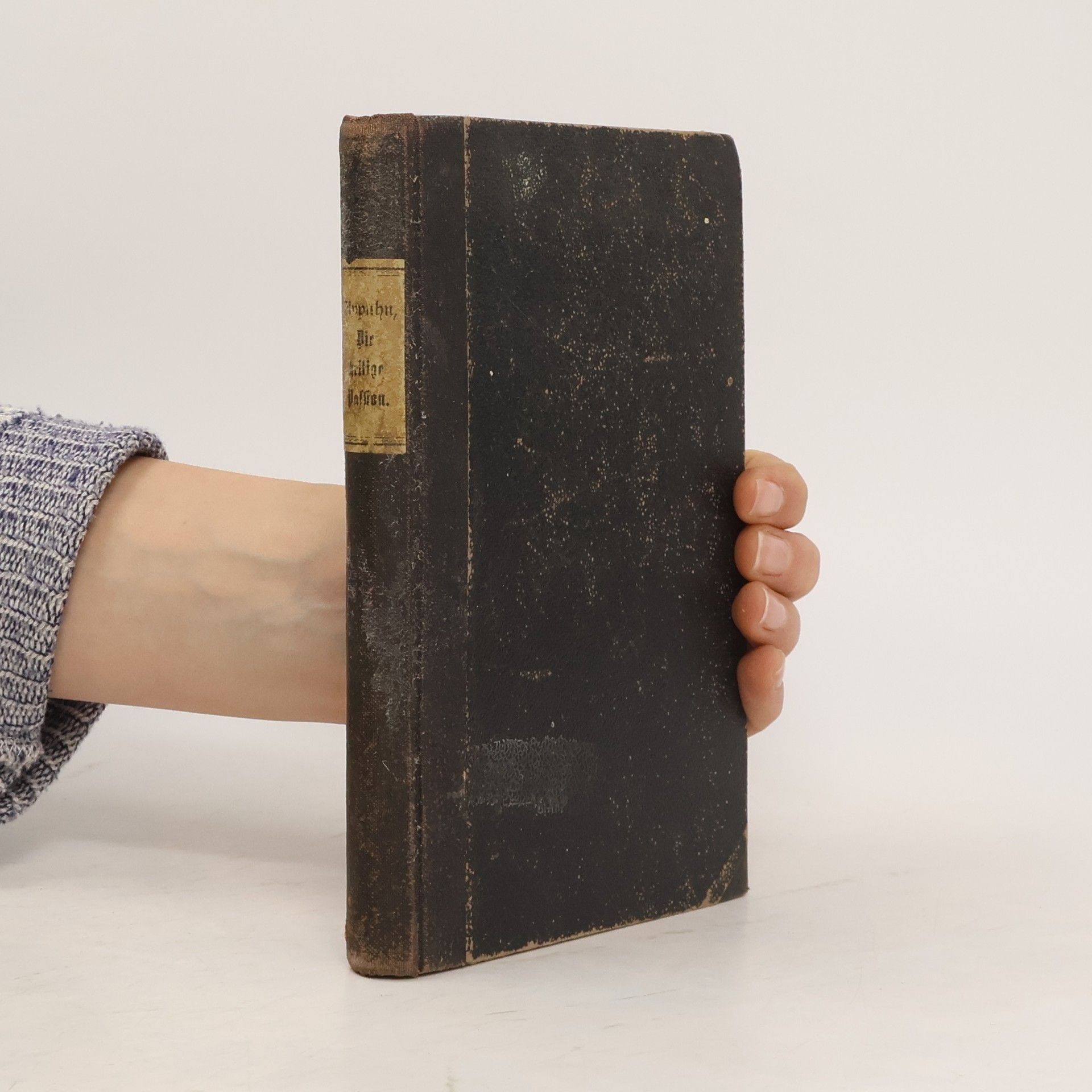 Autorenkollektiv Die heilige Passion, gefeiert in Liedern, Betrachtungen und Gebeten