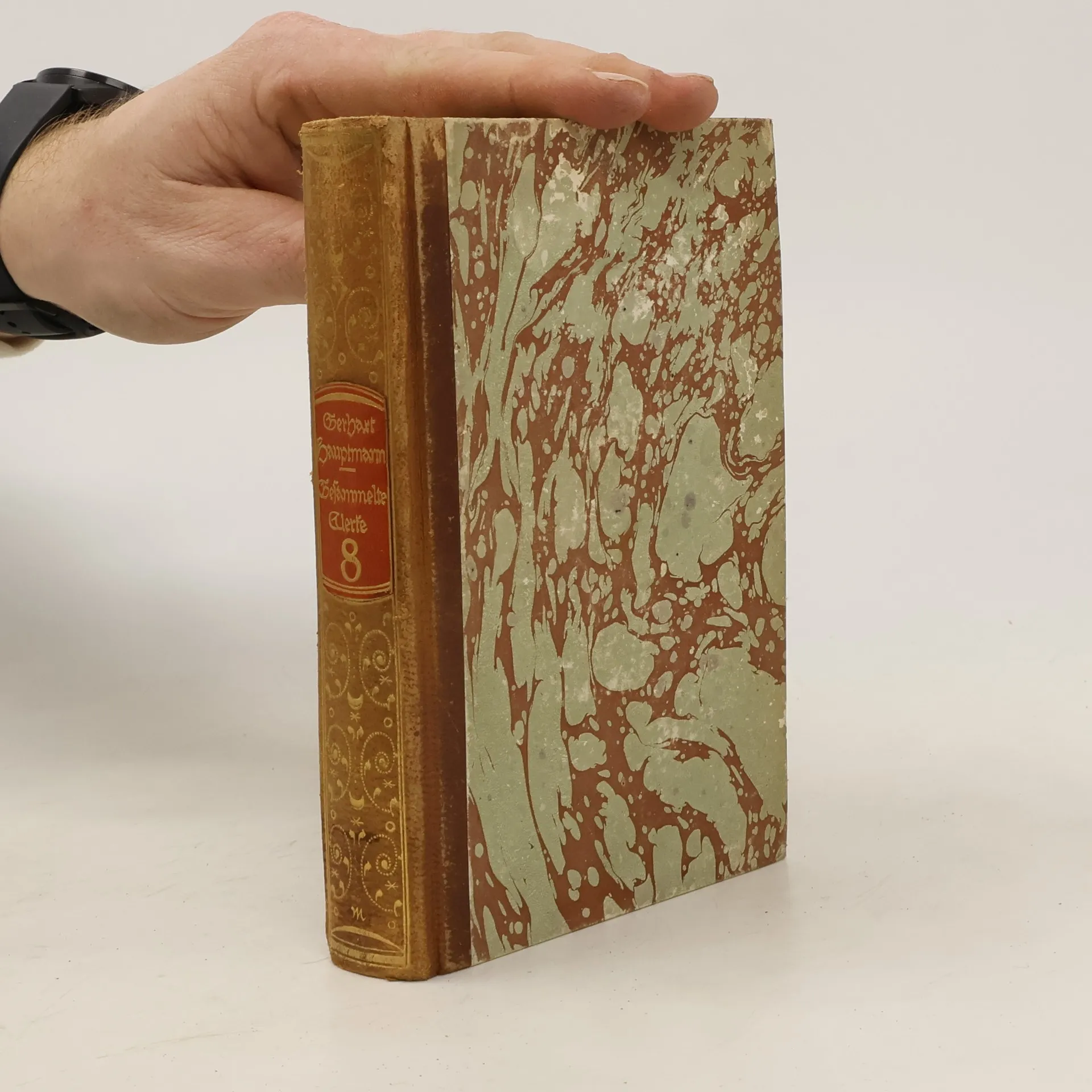 Gesammelte Werke 8 | Buch | Hardcover | Gerhart Hauptmann