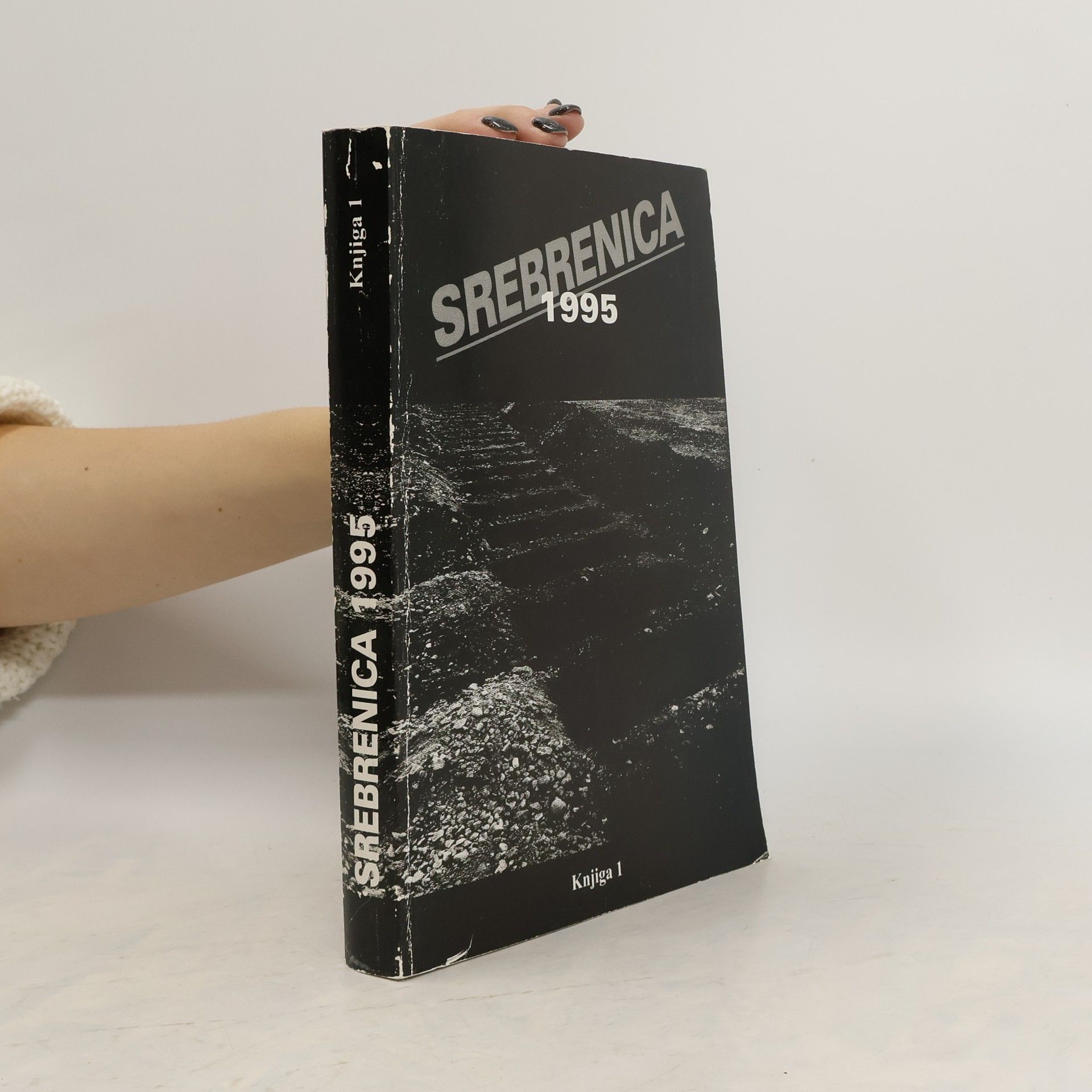 Collectif d'auteurs Srebrenica 1995