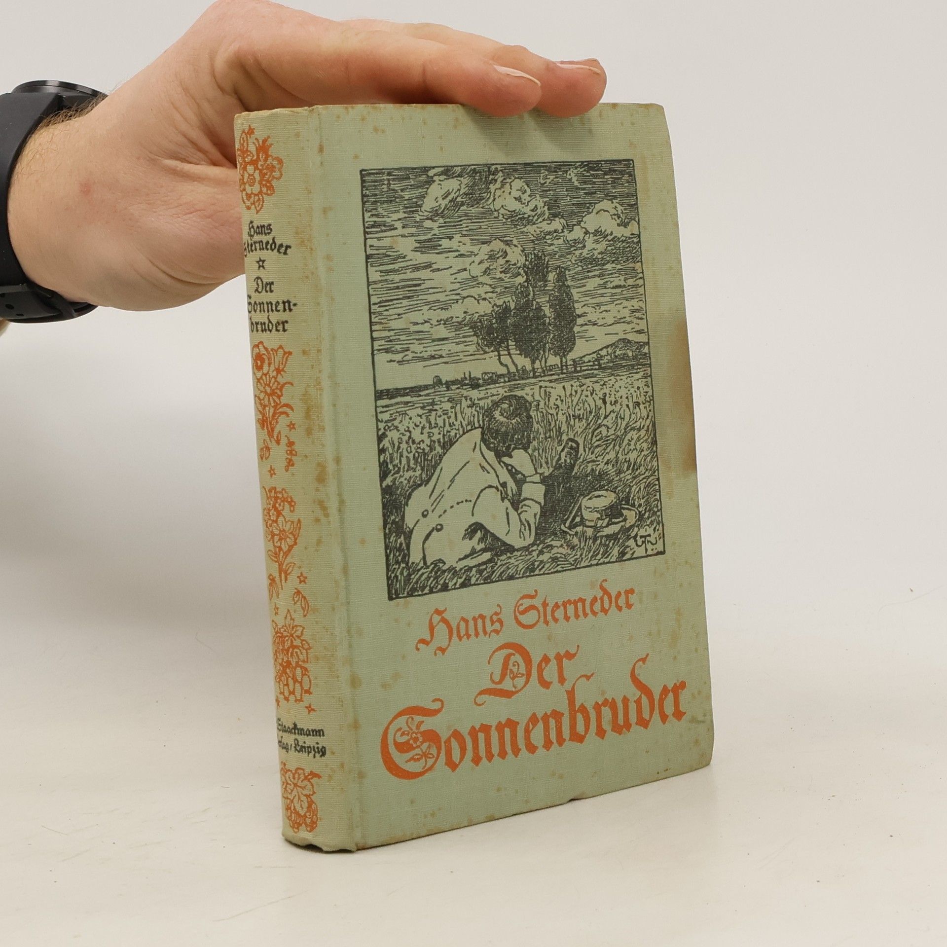 Hans Sterneder Der Sonnenbruder