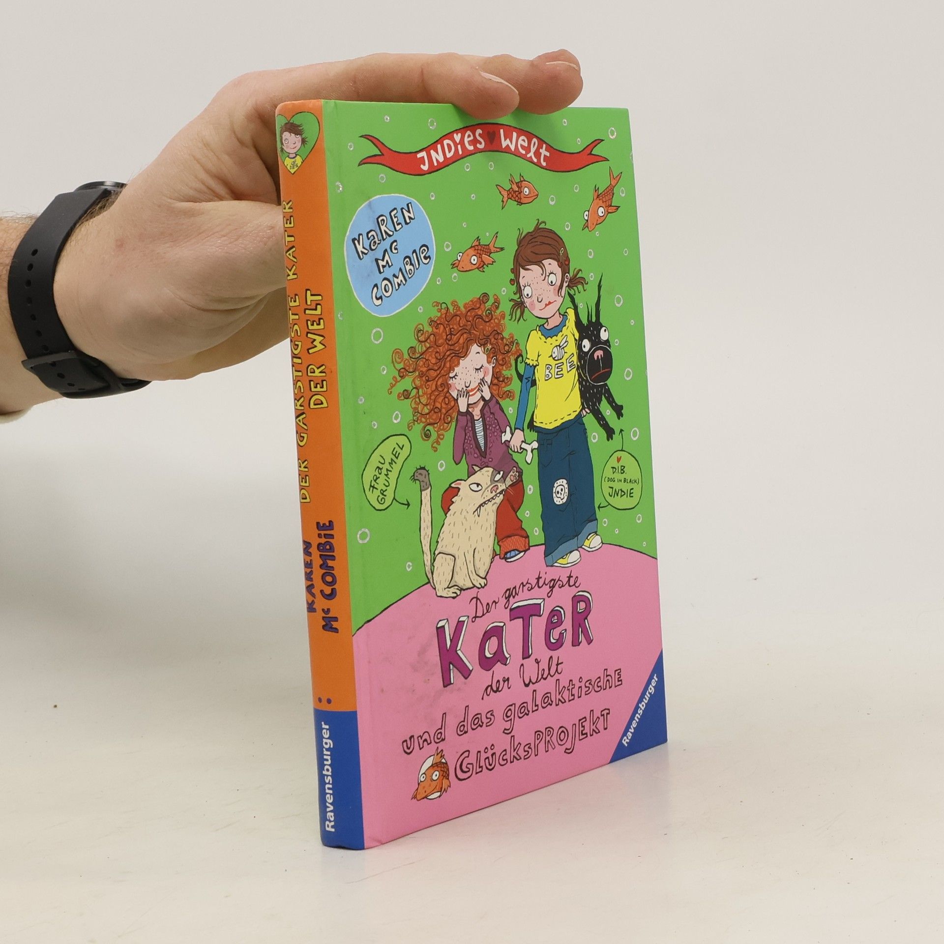 Karen McCombie Der garstigste Kater der Welt und das galaktische Glücksprojekt