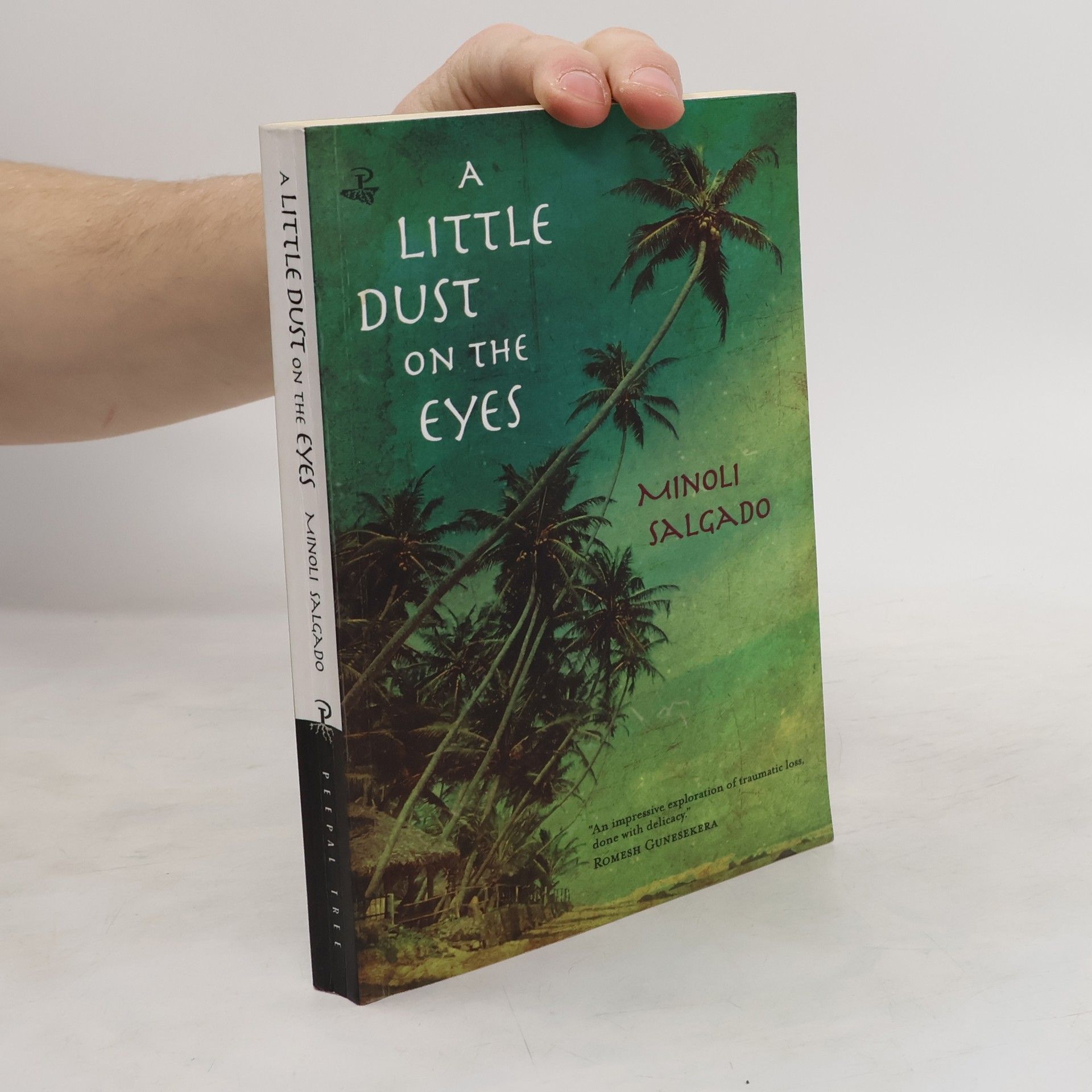 Minoli Salgado A Little Dust on the Eyes