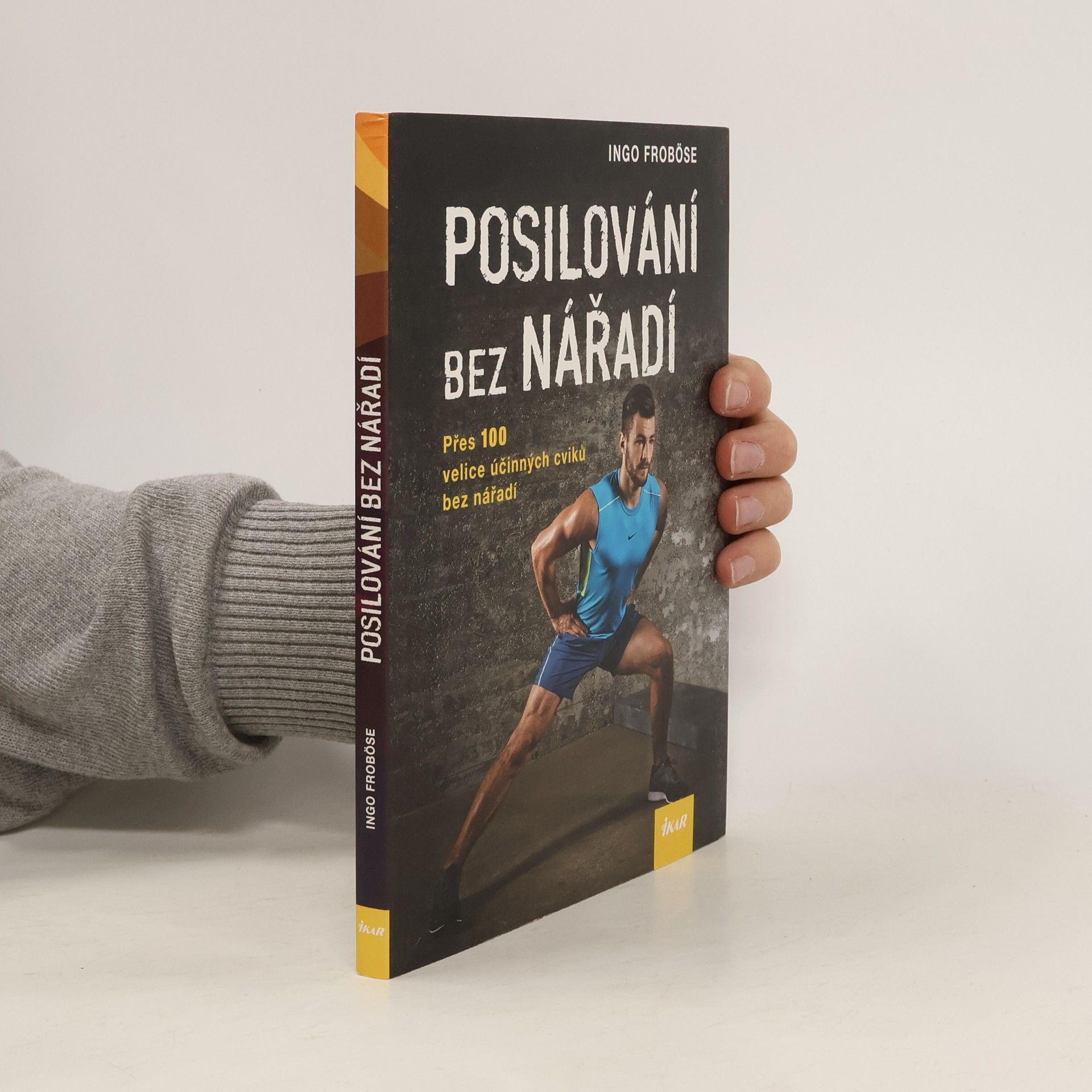 Ingo Froböse Posilování bez nářadí