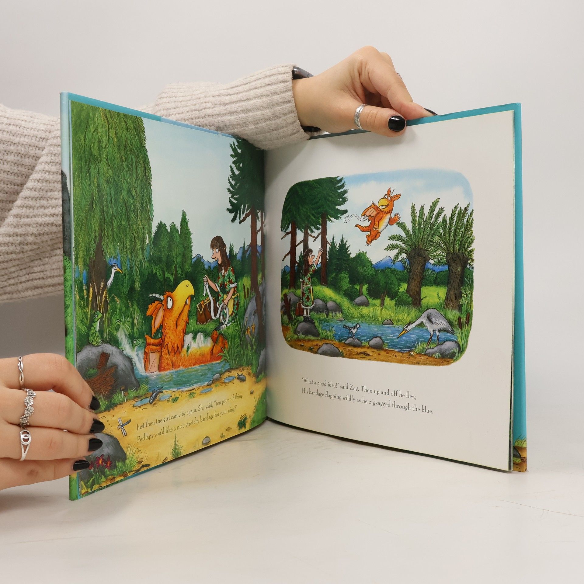 Julia Donaldson Zog