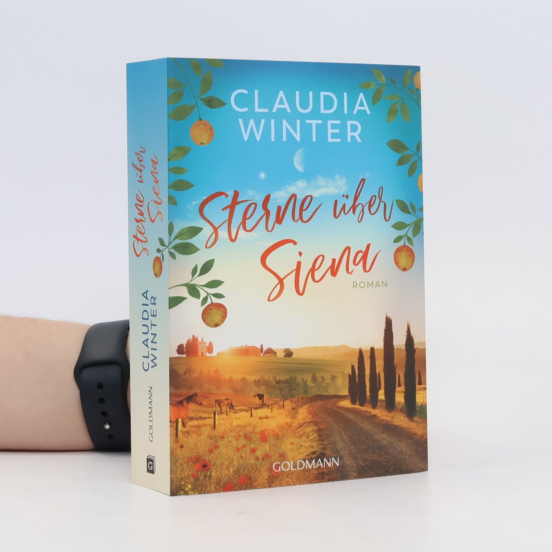 Claudia Winter Sterne über Siena