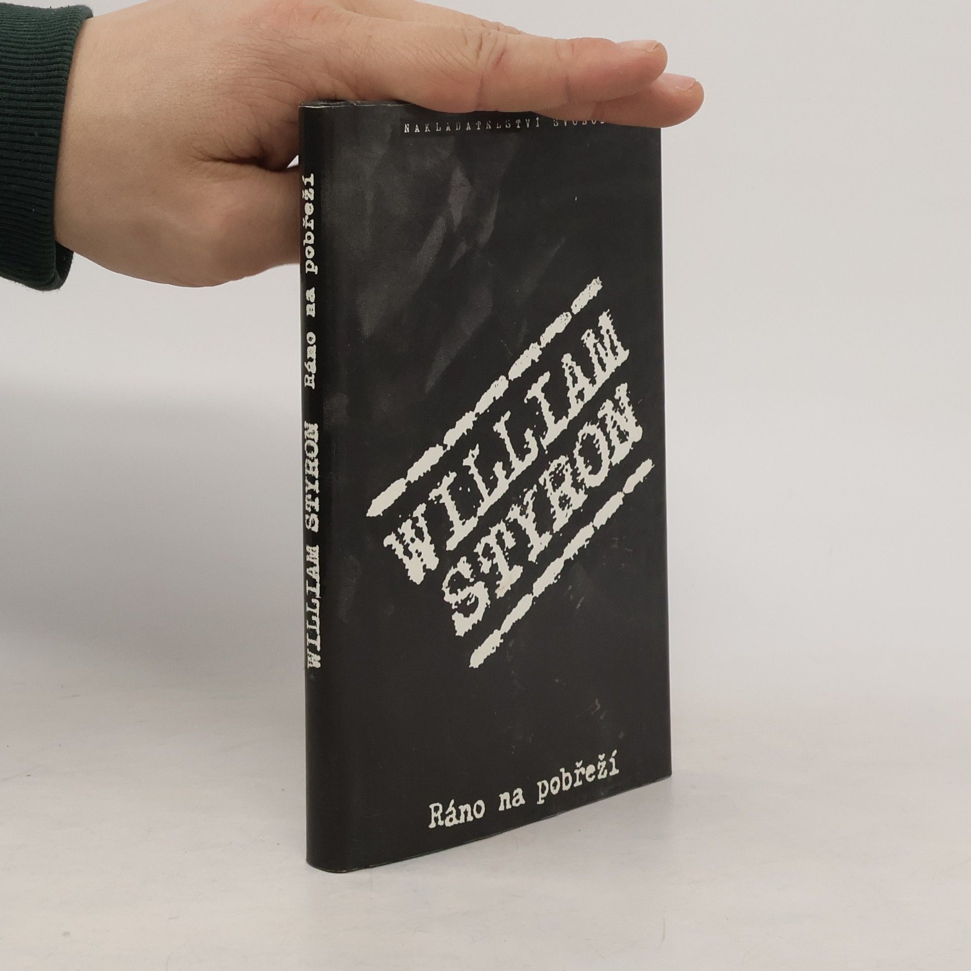 William Styron Ráno na pobřeží