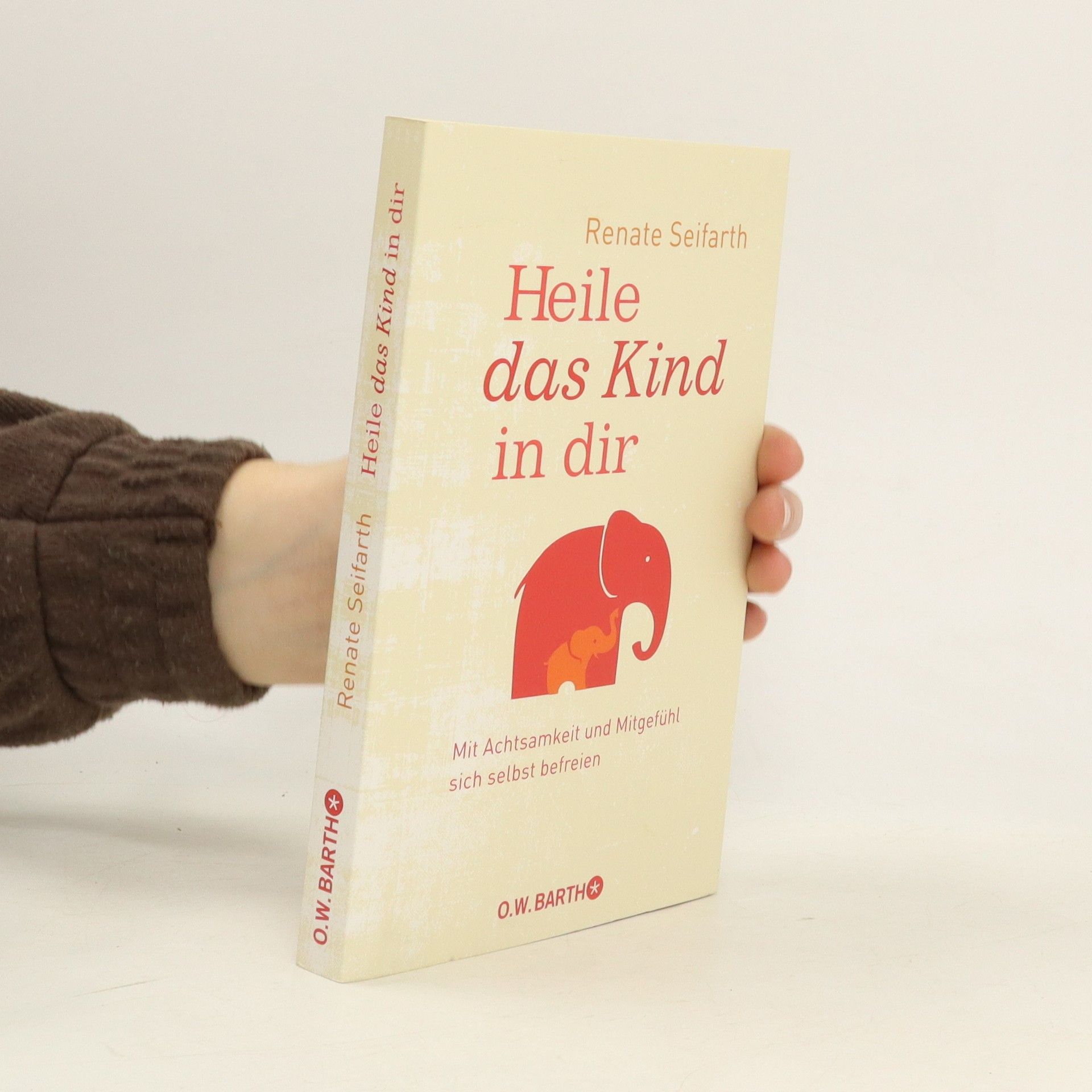 Renate Seifarth Heile das Kind in dir