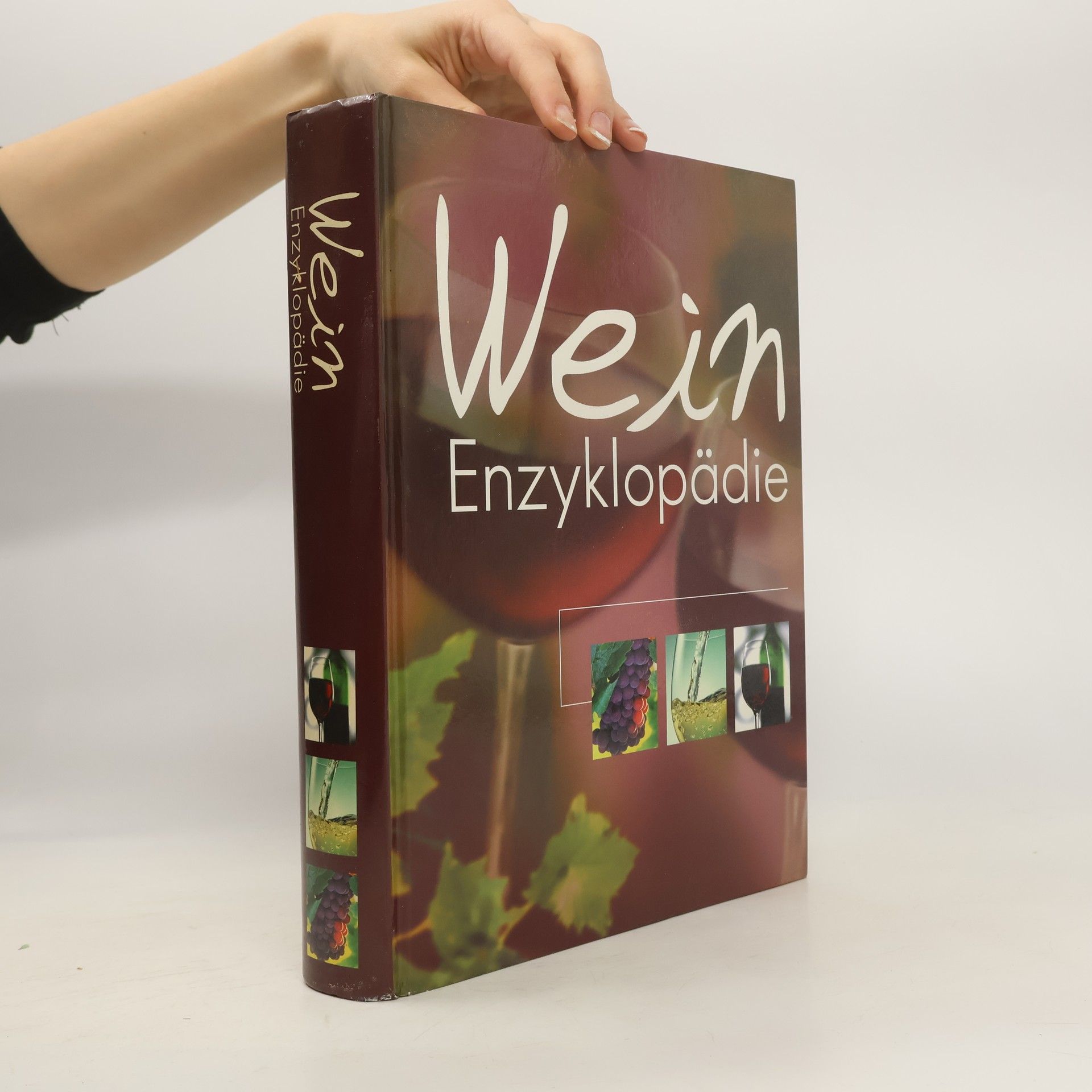 Autorenkollektiv Wein Enzyklopädie