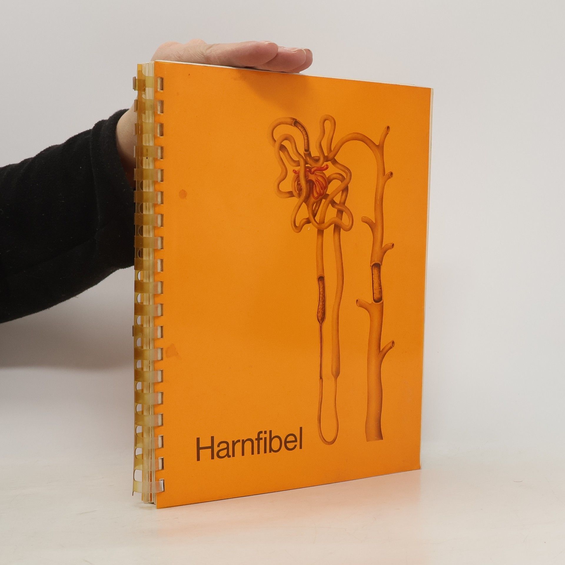 Dr. B. Altmeyer Harnfibel