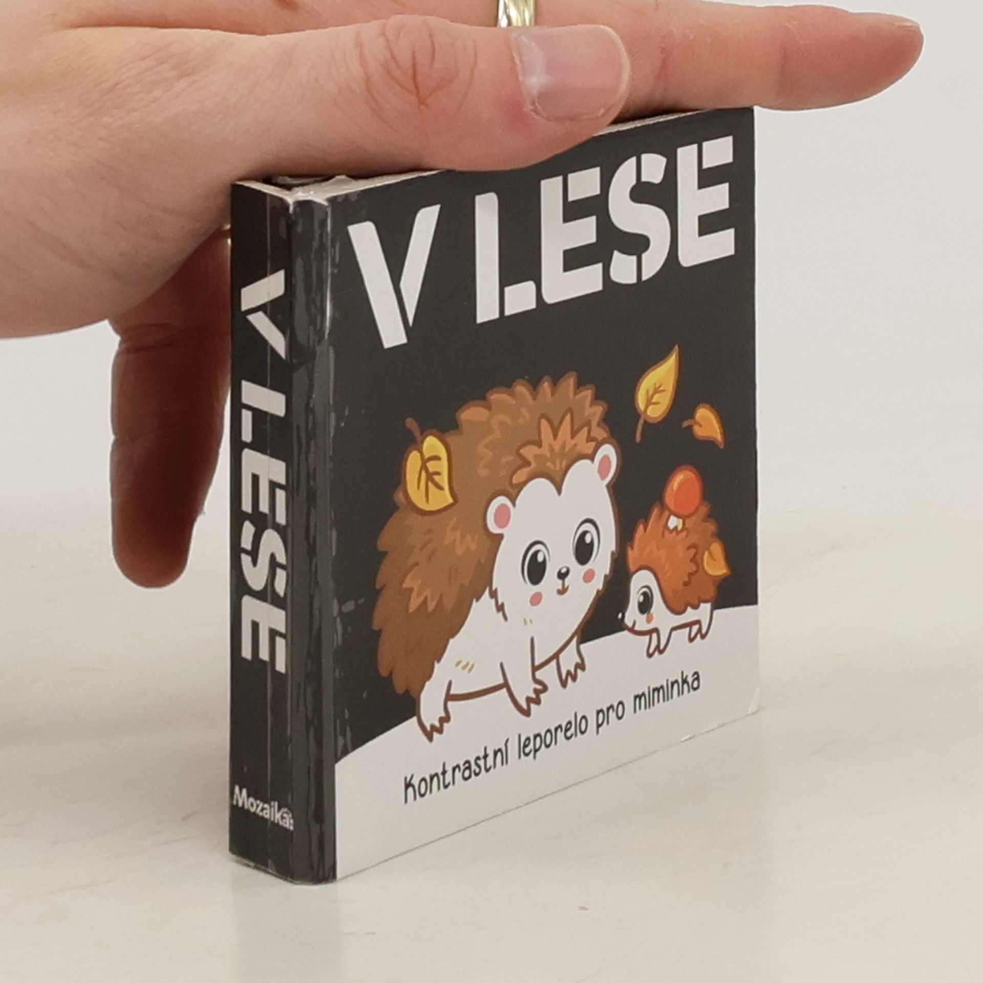 Autorenkollektiv V lese : kontrastní leporelo pro miminka