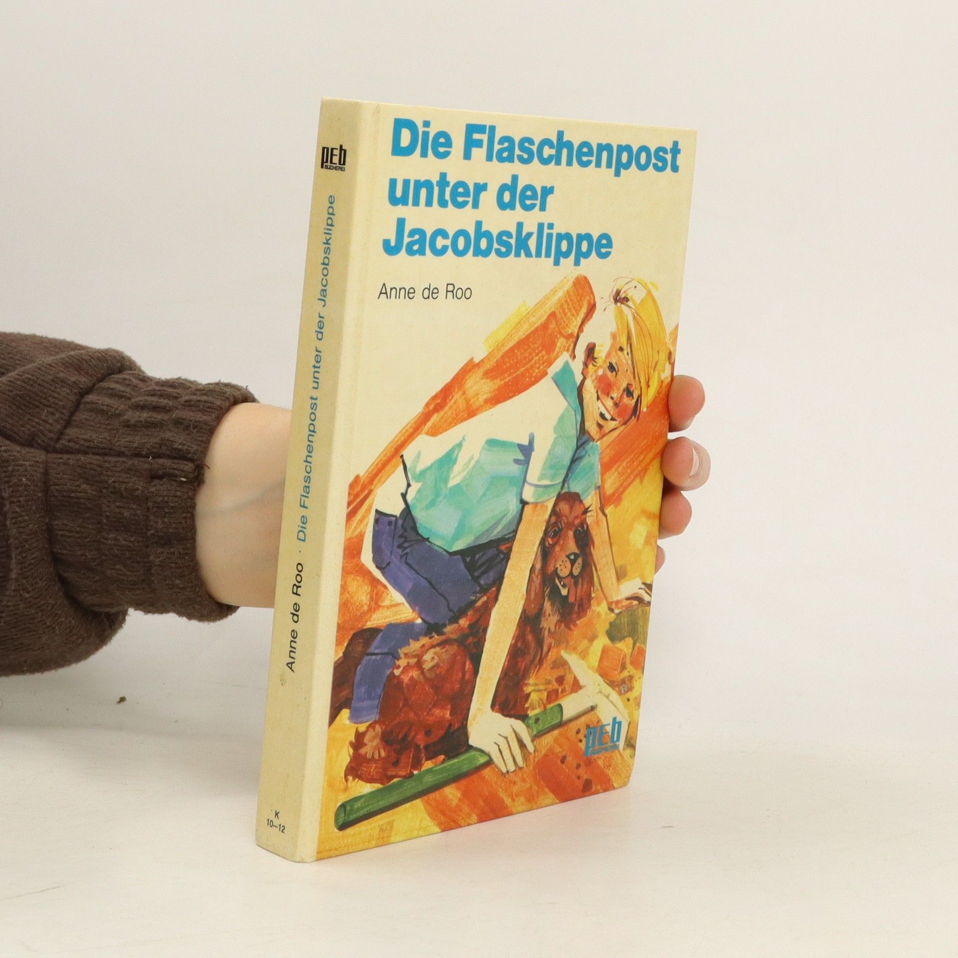 Anne De Roo Die Flaschenpost unter der Jacobsklippe