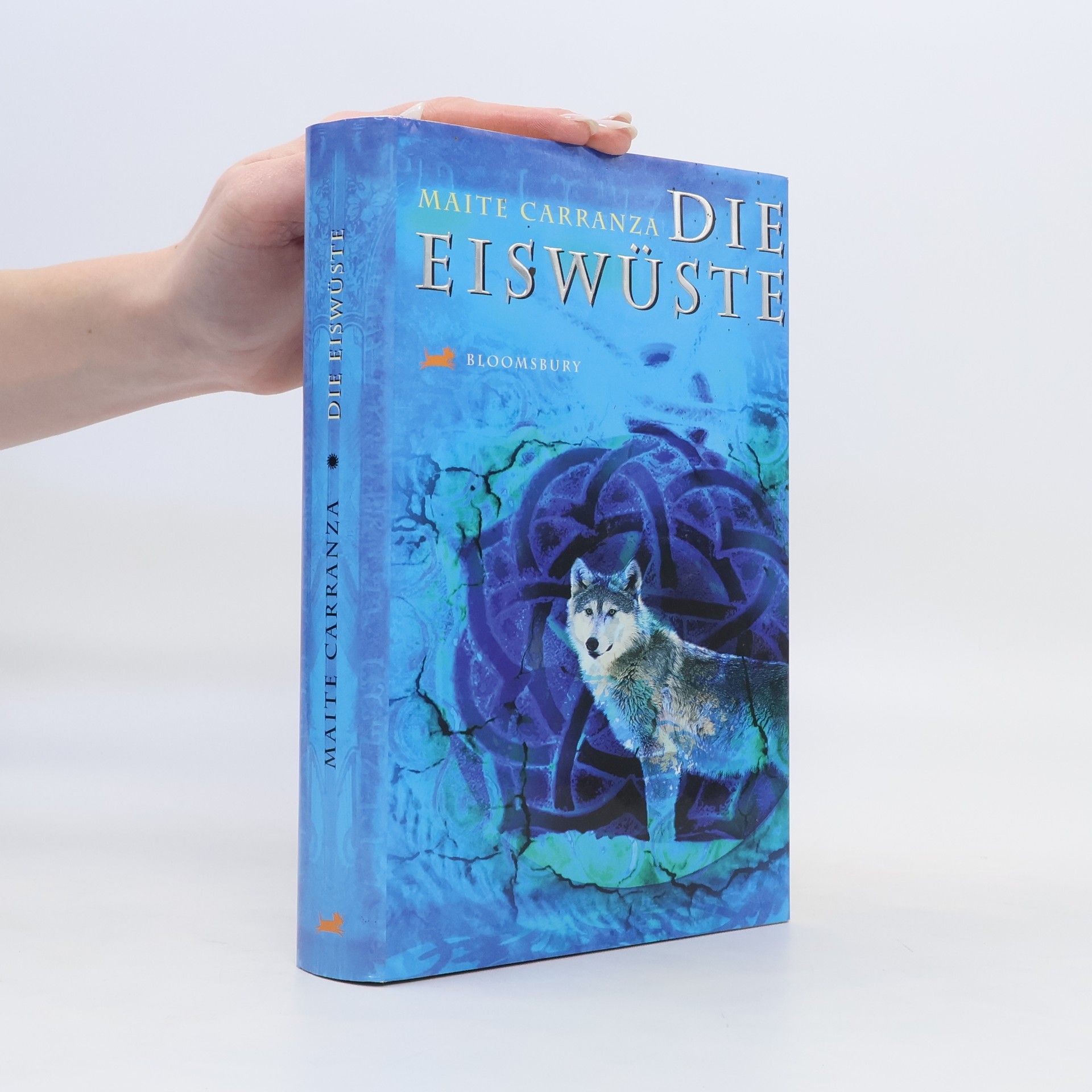 Maite Carranza Die Eiswüste