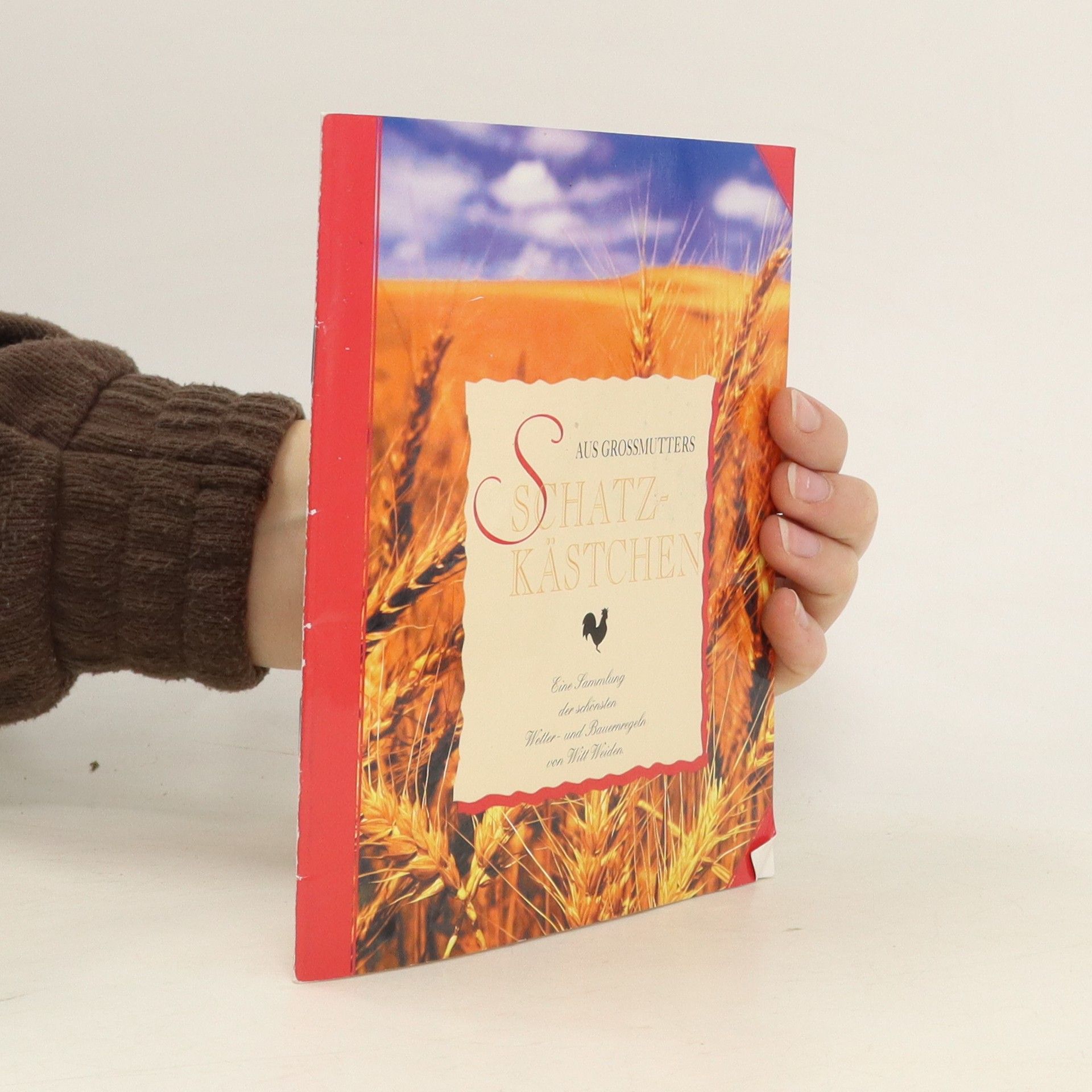Autorenkollektiv Aus Grossmutters Schatzkästchen