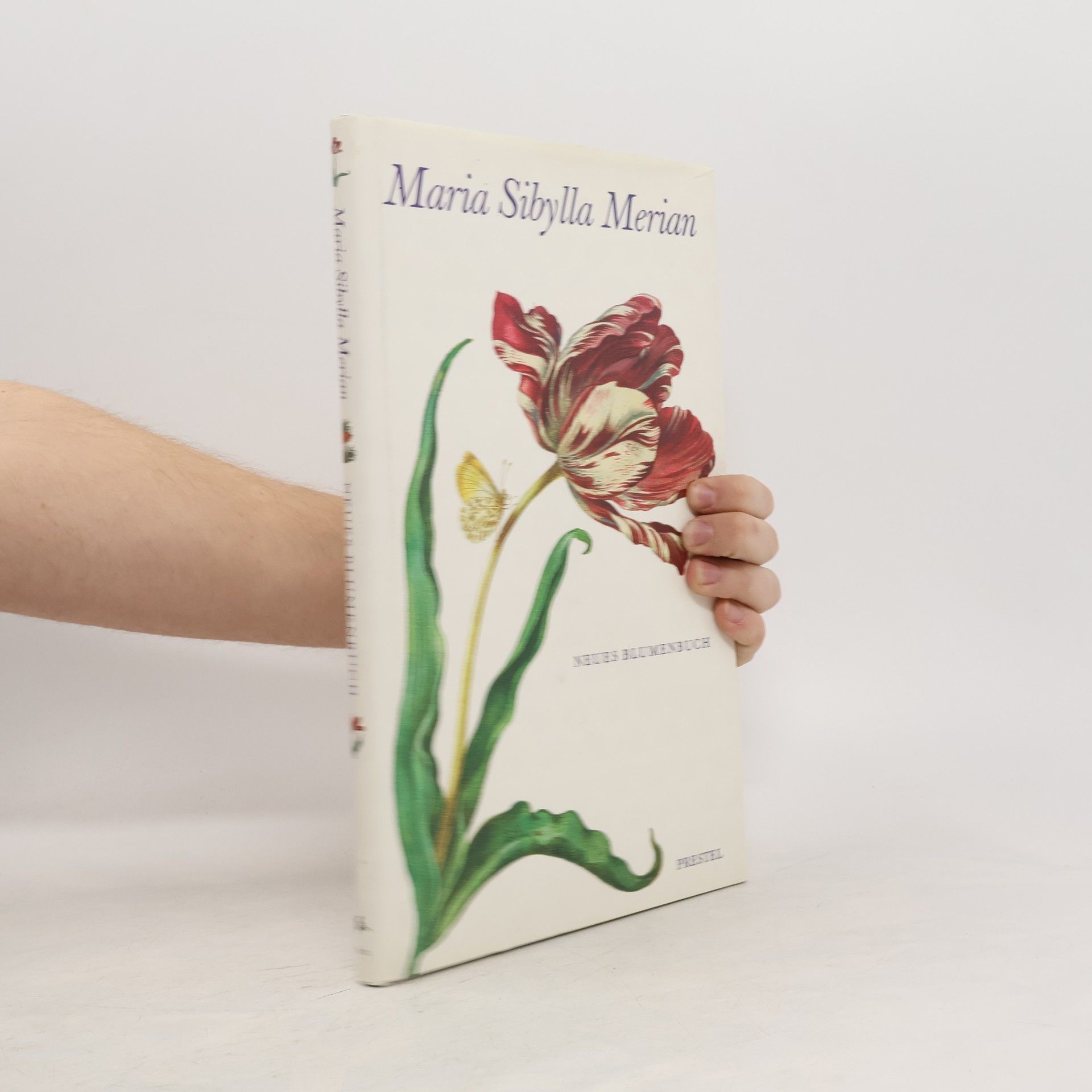 Maria Sibylla Merian Neues Blumenbuch
