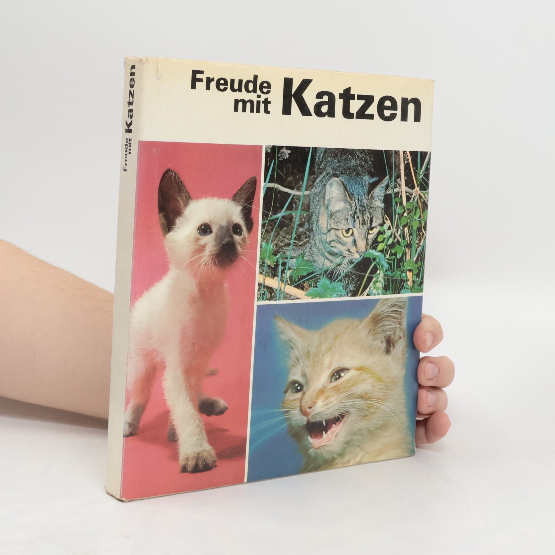 Autorenkollektiv Freude mit Katzen