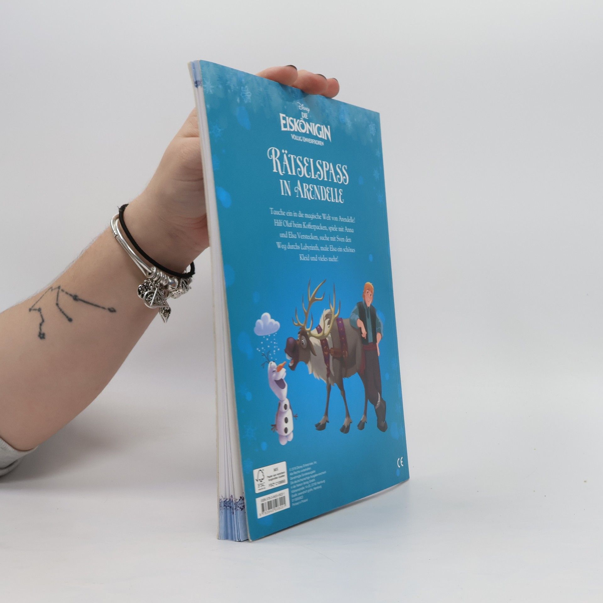 kolektiv Rätselspass in Arendelle