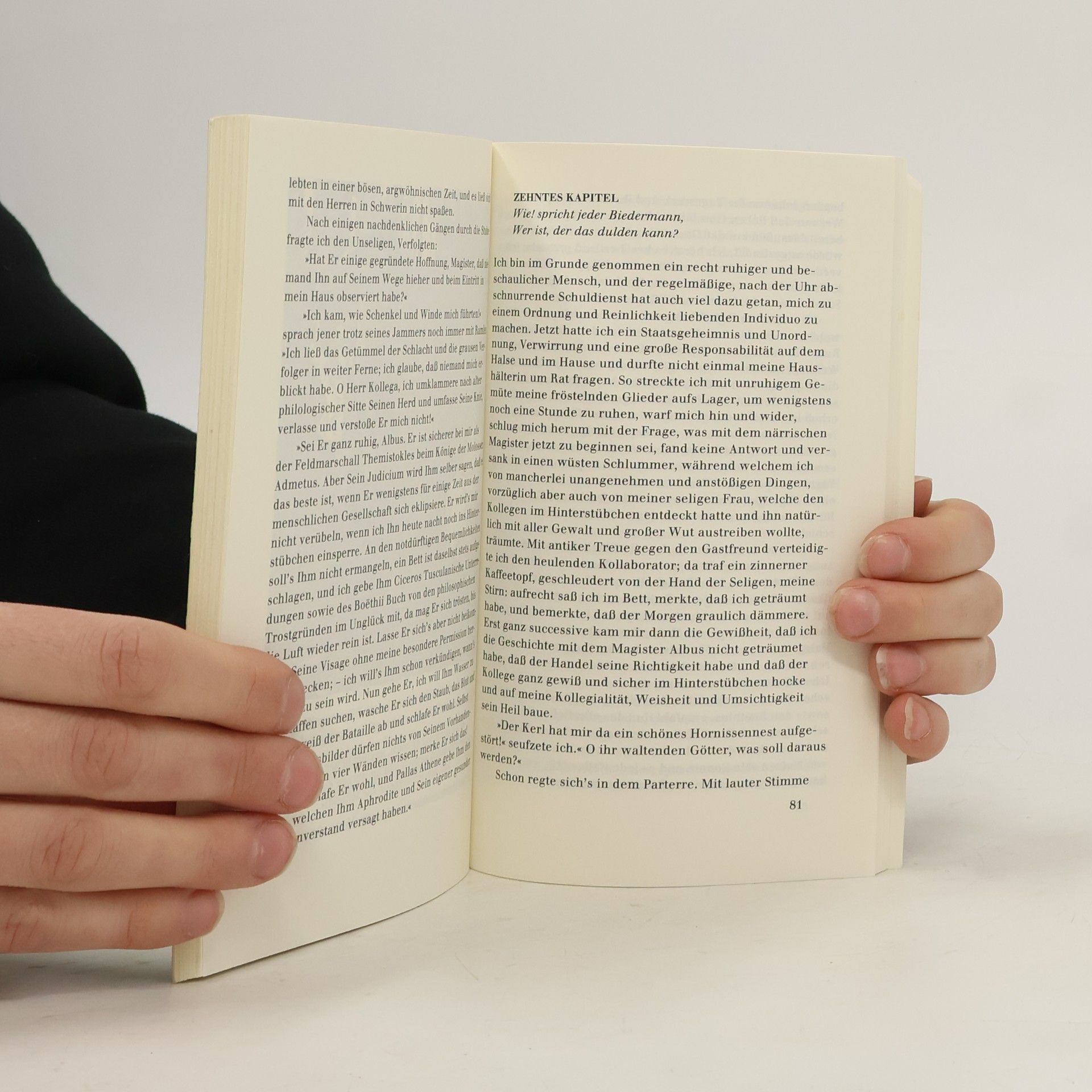 Wilhelm Hauff Die Gänse von Bützow. Novelle
