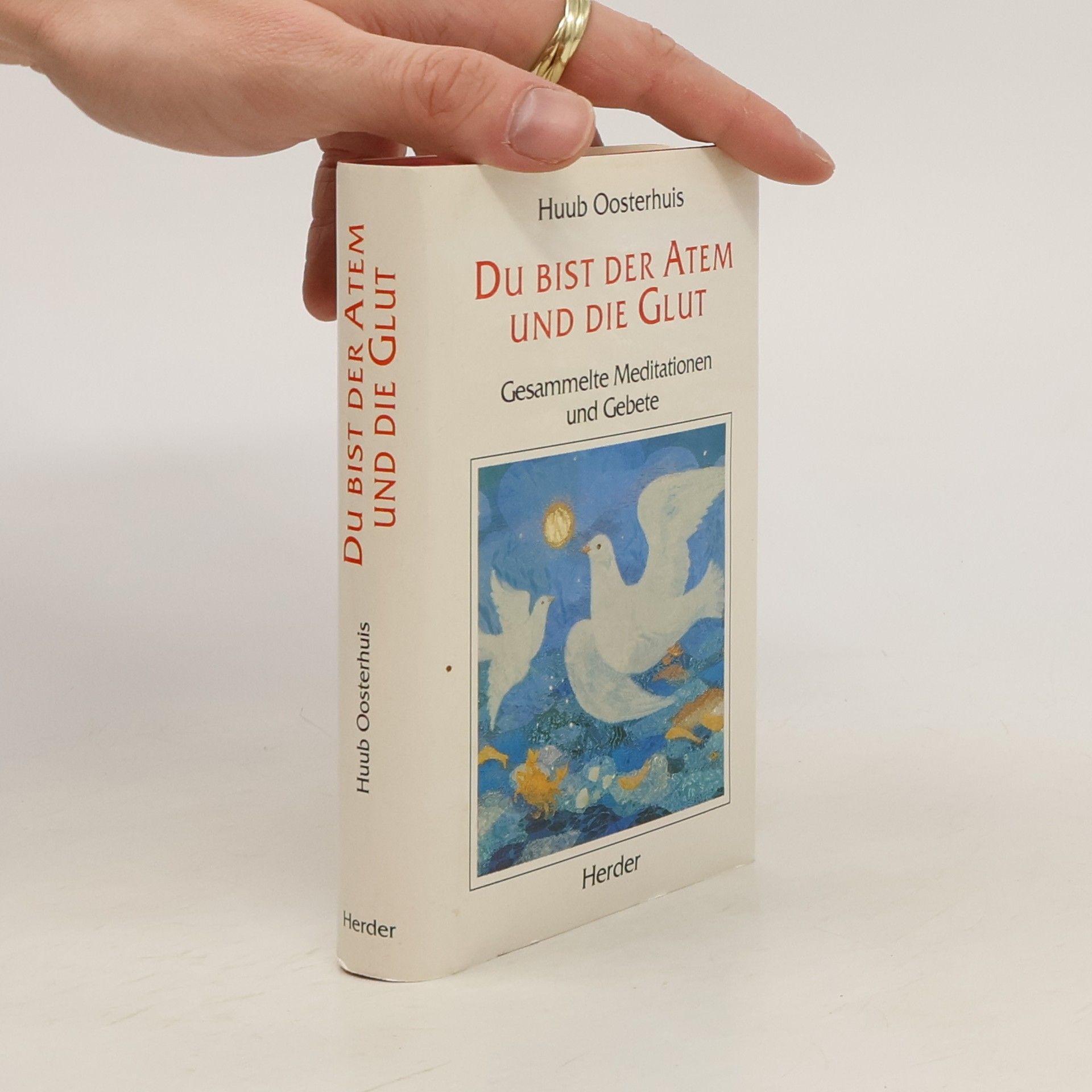 Huub Oosterhuis Du bist der Atem und die Glut. Gesammelte Meditationen und Gebete