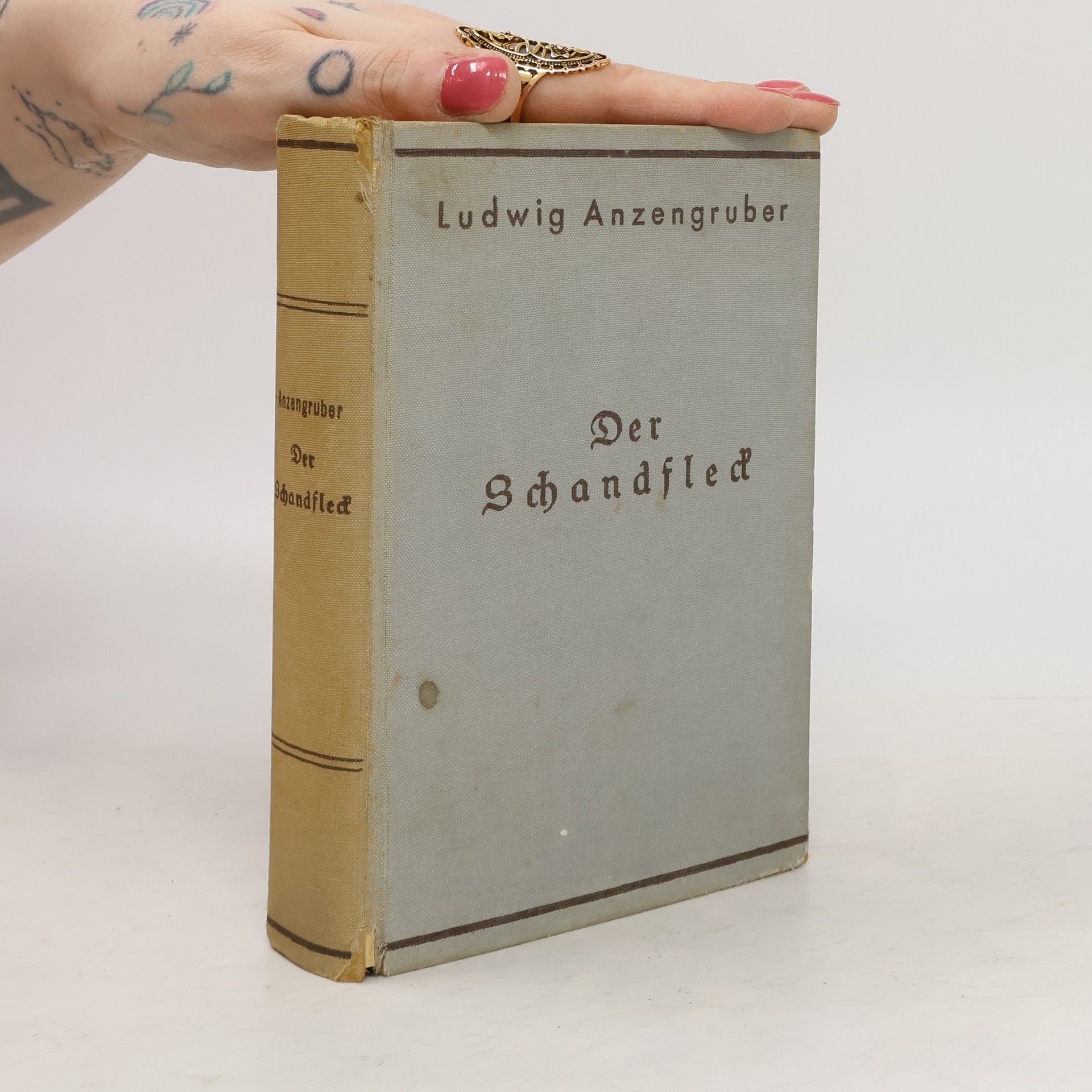 Ludwig Anzengruber Der Schandfleck