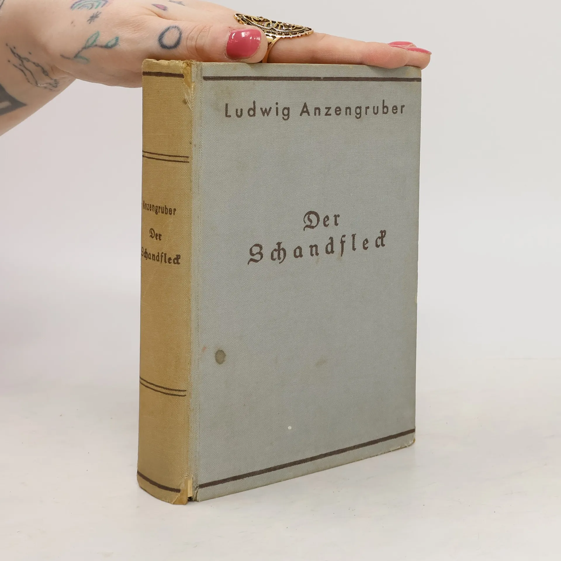 Der Schandfleck | Kniha | pevná | Ludwig Anzengruber | DE