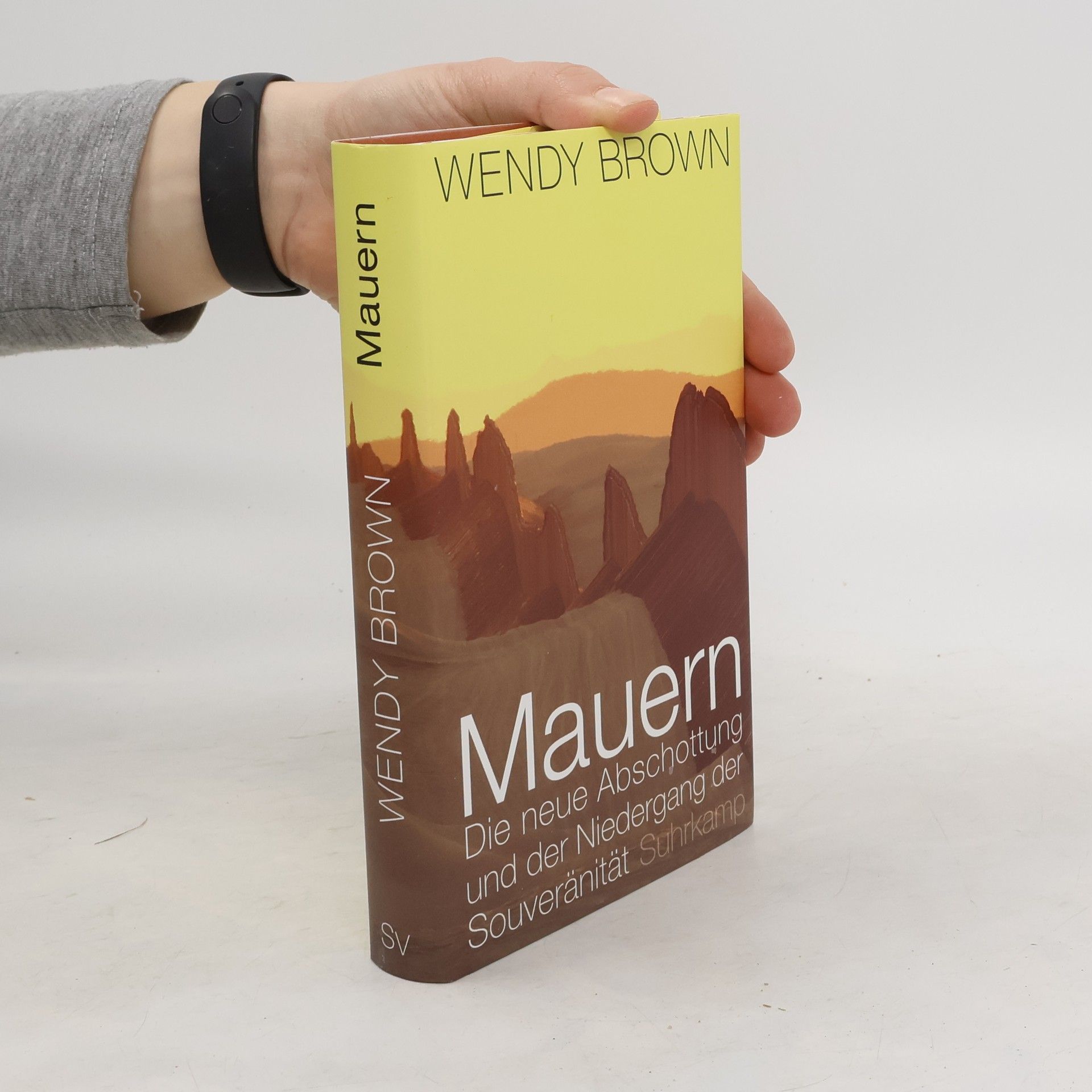 Wendy Brown Mauern