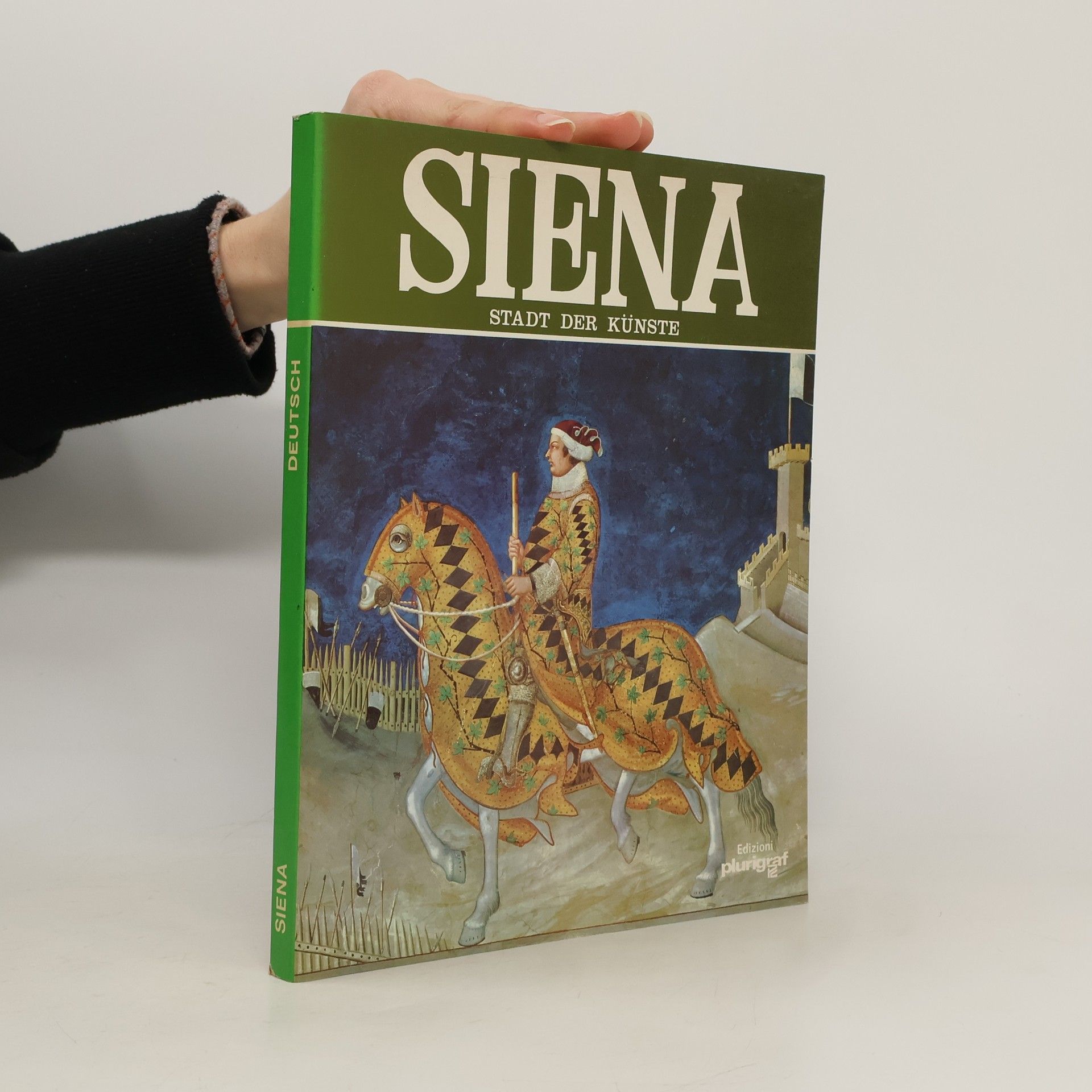 kolektiv Siena. Stadt der Künste