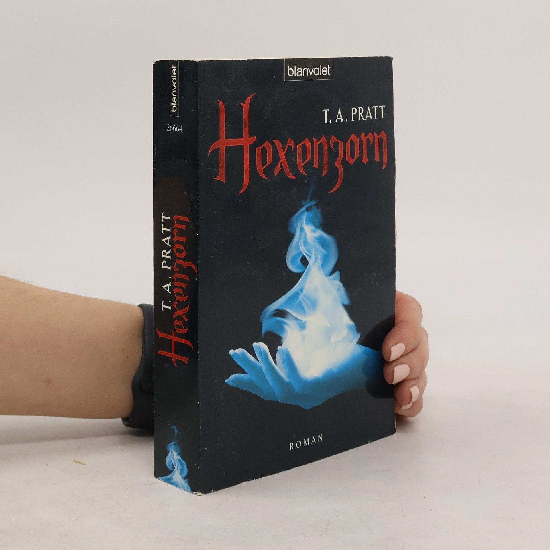 Tim Pratt Hexenzorn