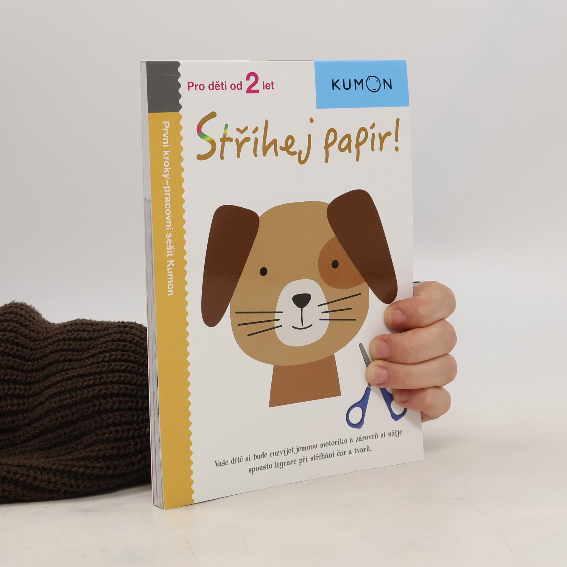 Kateřina Čedíková Stříhej papír! Pracovní sešit Kumon