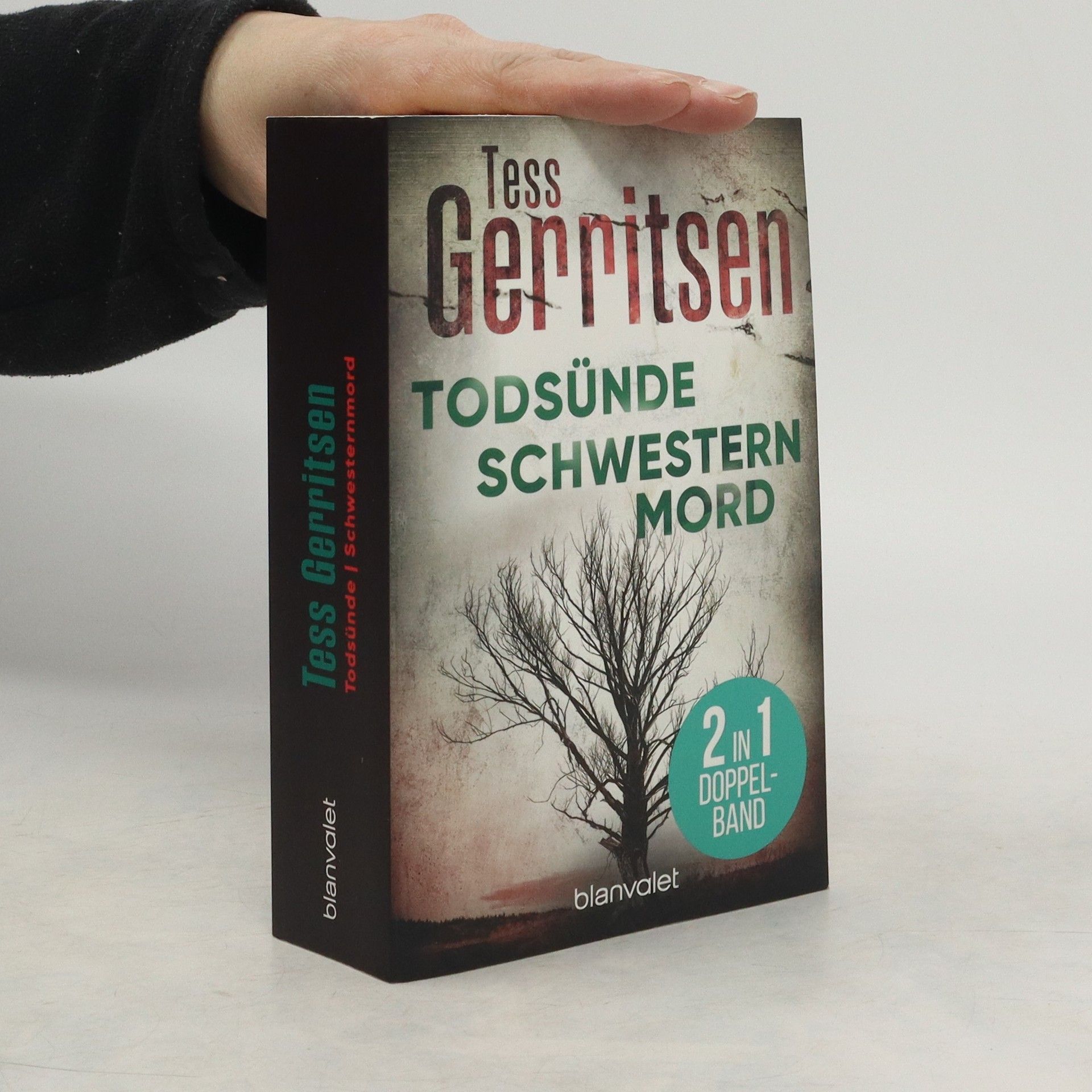 Tess Gerritsen Todsünde. Schwesternmord