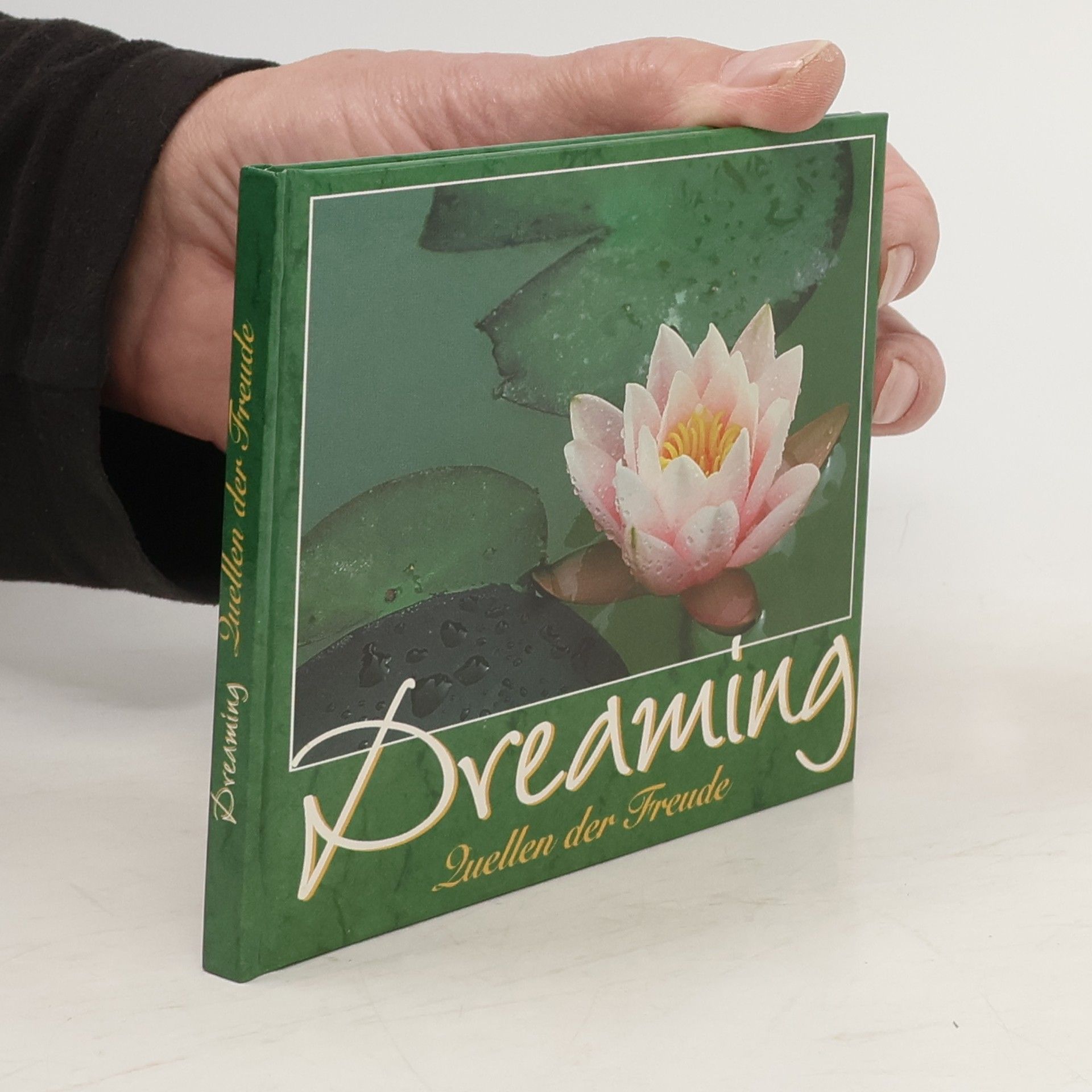 Collectif d'auteurs Dreaming: Quellen der Freude