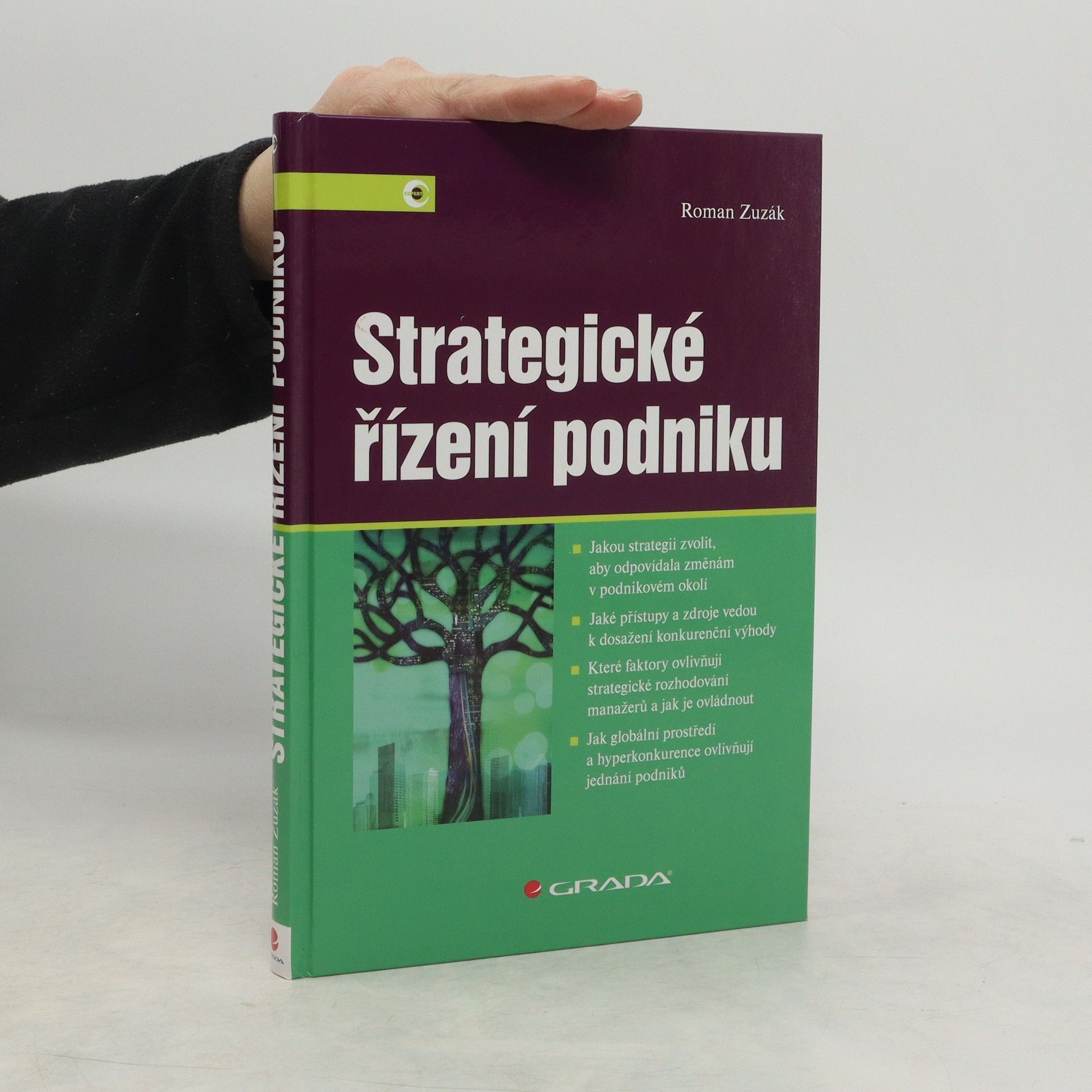 Roman Zuzák Strategické řízení podniku