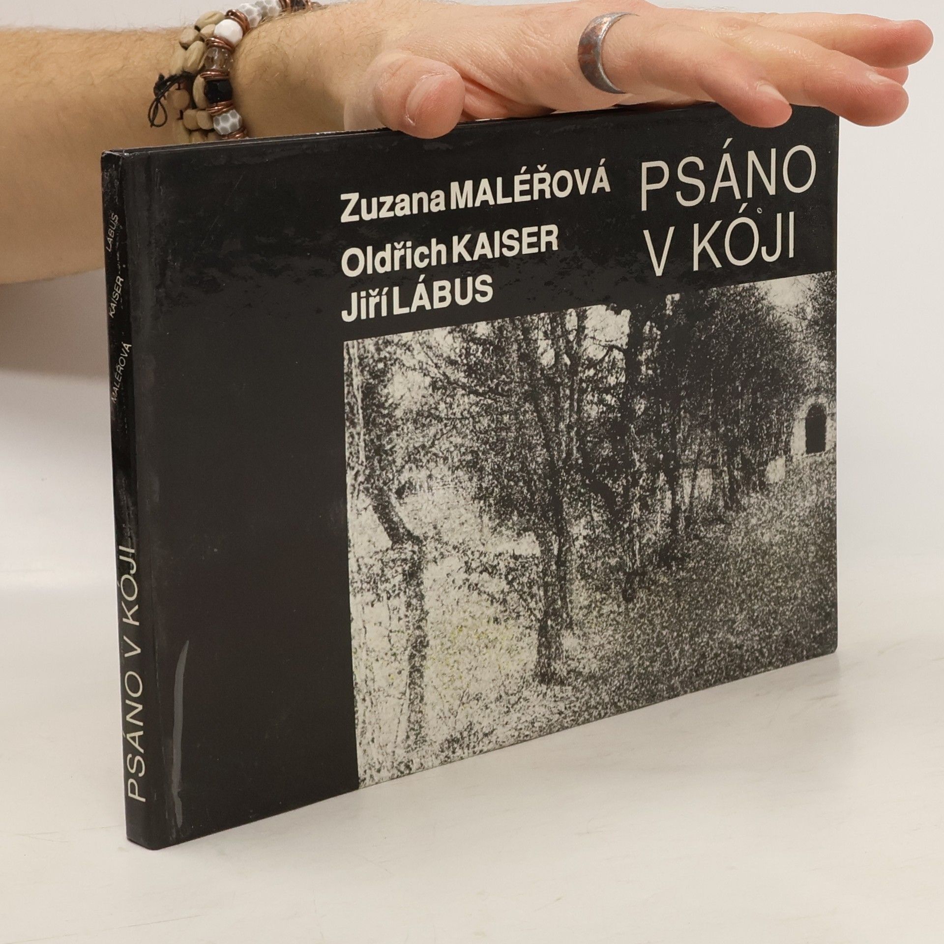 Zuzana Maléřová Psáno v kóji