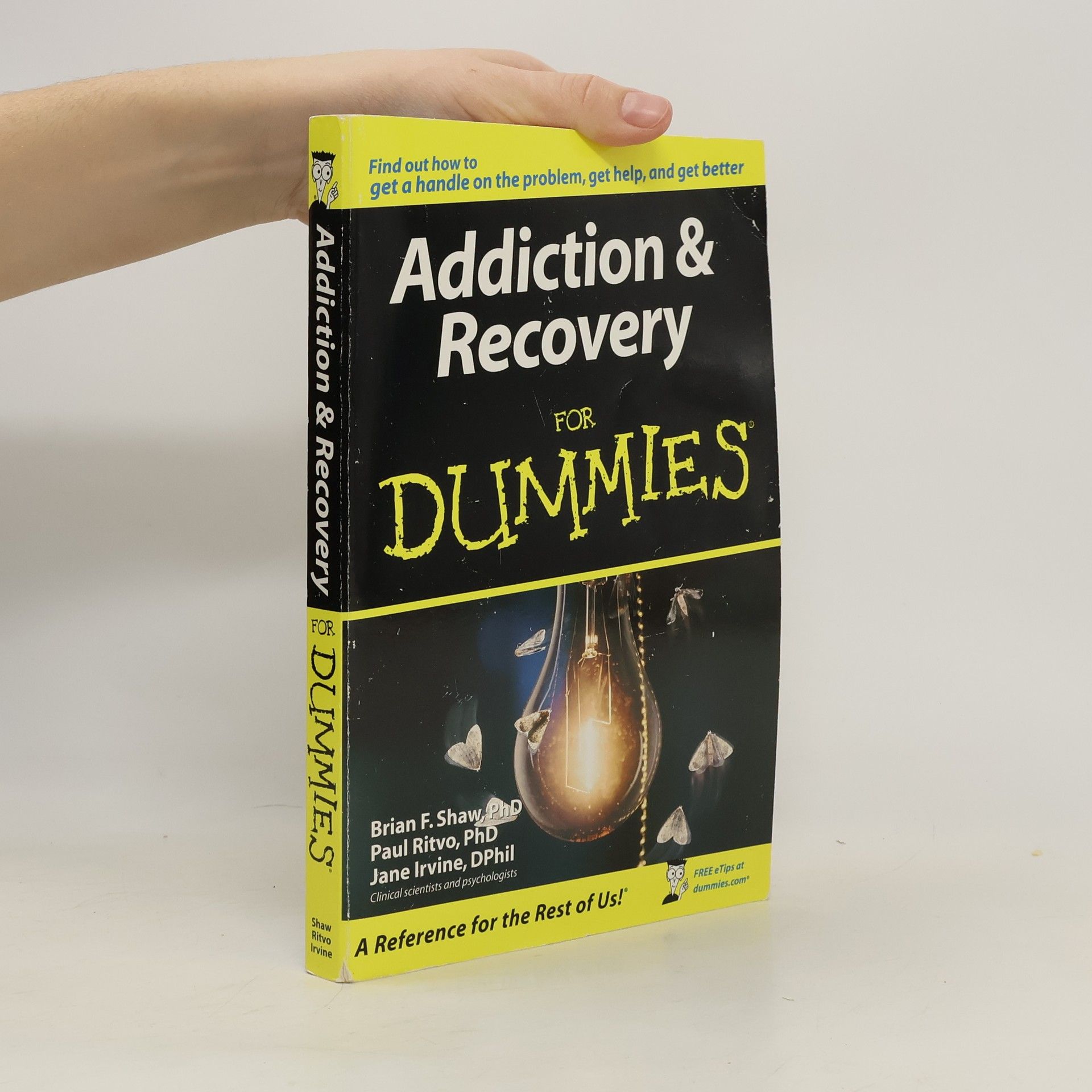 Brian Trubshaw Addiction and Recovery For Dummies