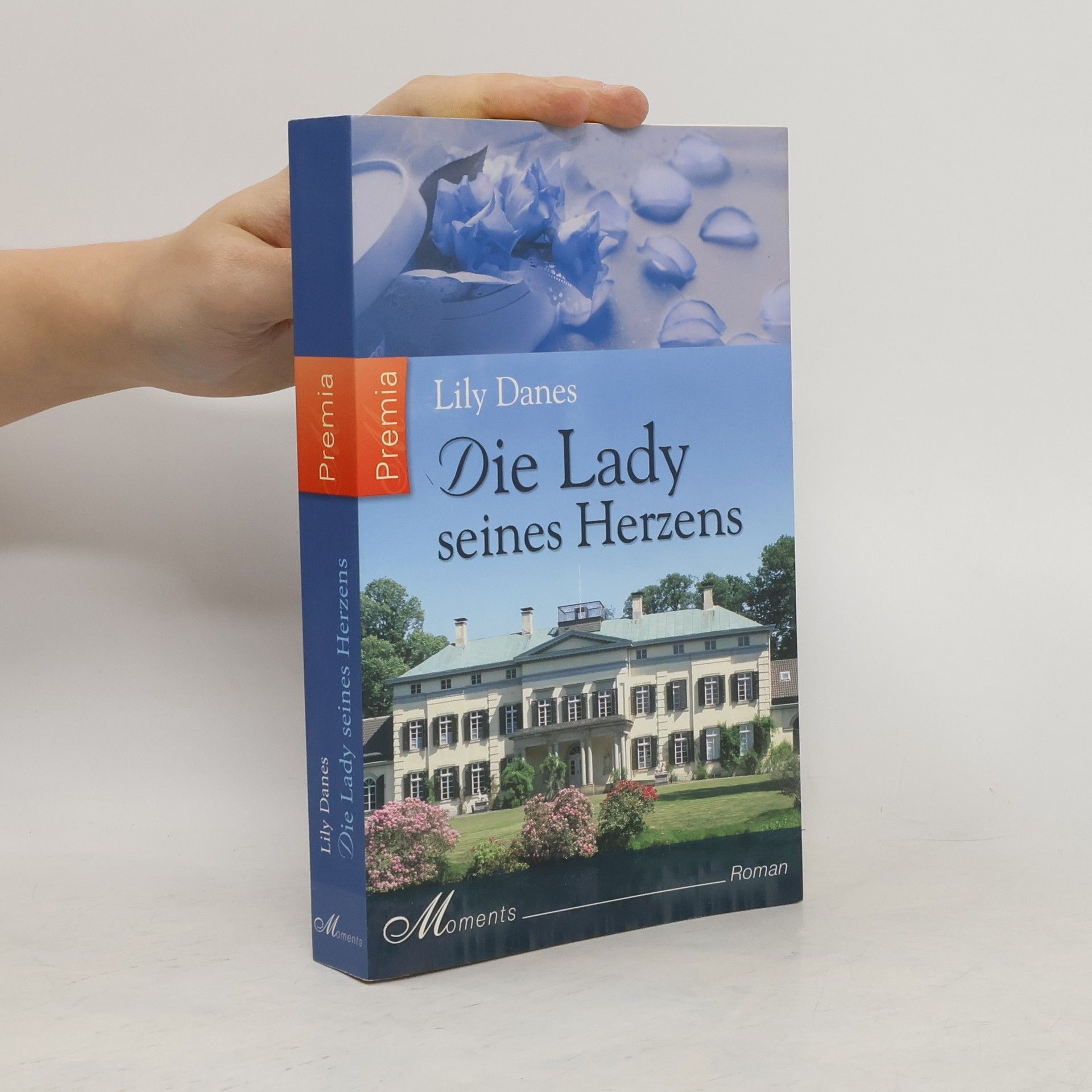 Lily Danes Die Lady seines Herzens