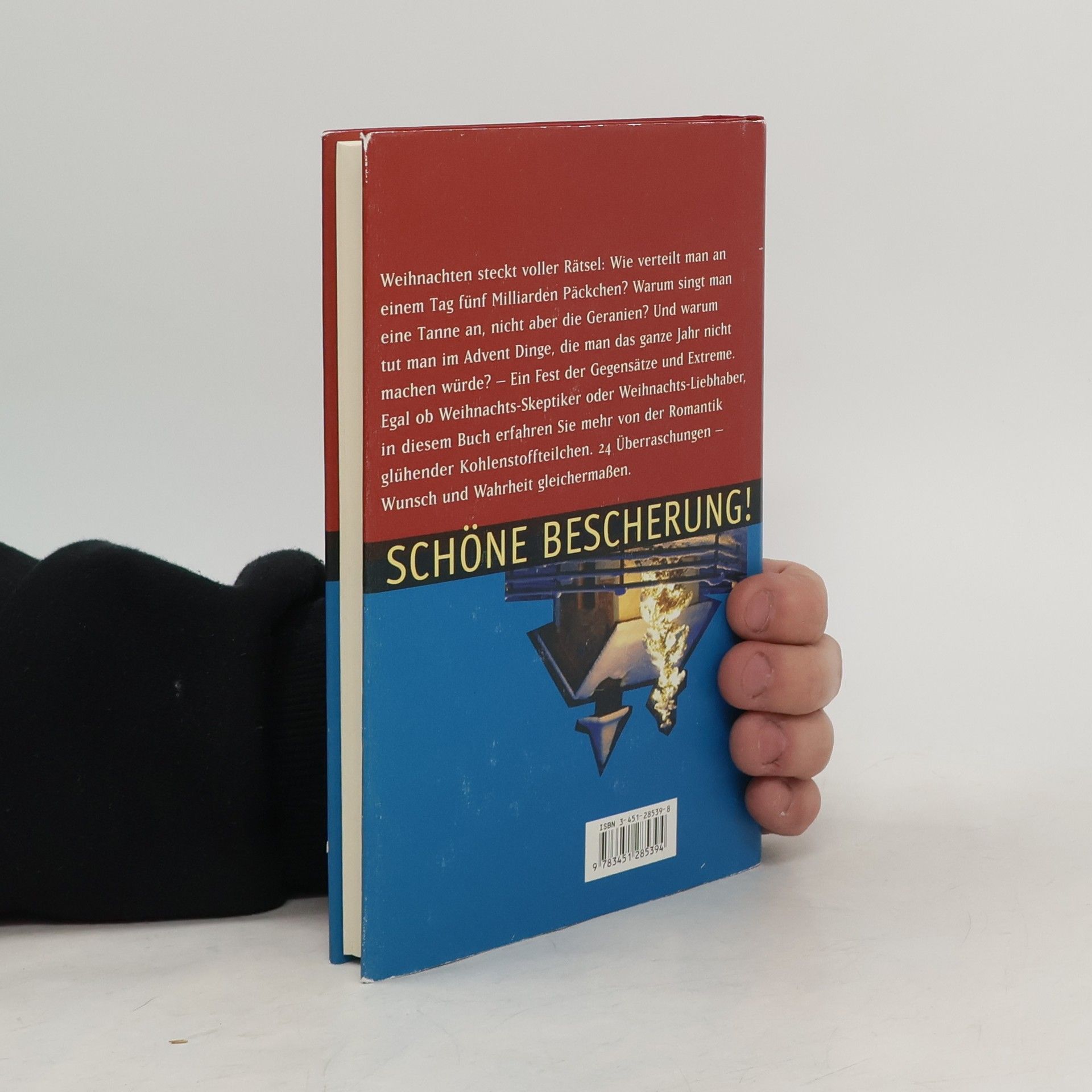 Holger Wormer Schöne Bescherung!. 24 Wünsche und Wahrheiten zu Weihnachten