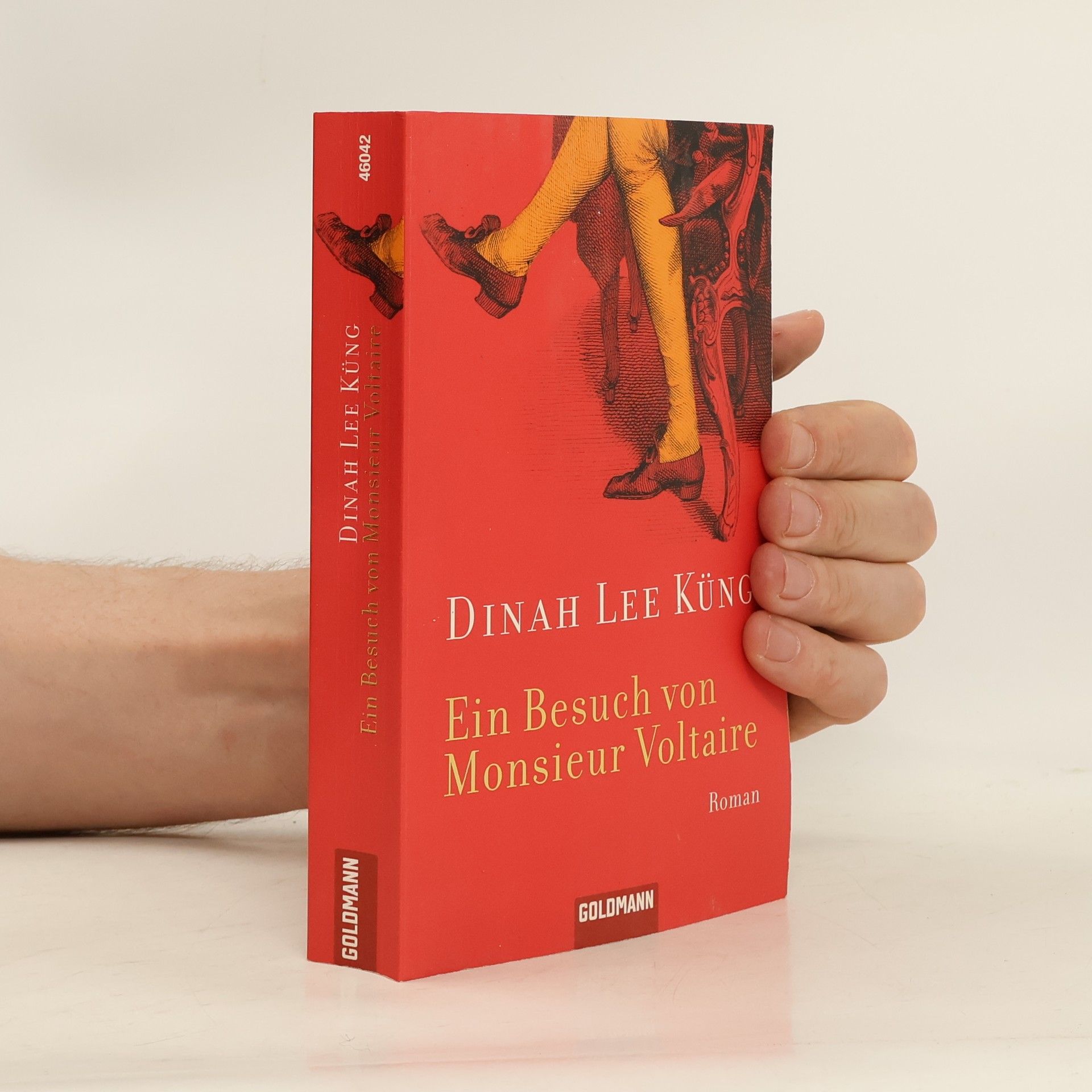 Dinah Lee Küng Ein Besuch von Monsieur Voltaire