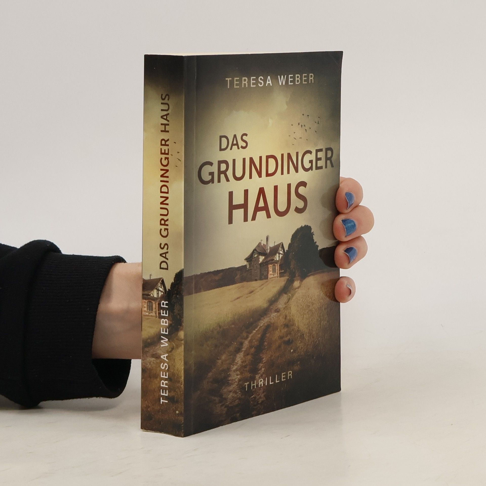 Teresa Weber Das grundiger Haus