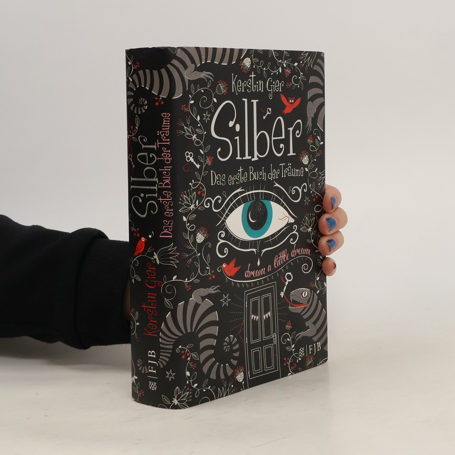 Kerstin Gier Silber Das erste Buch der Traume