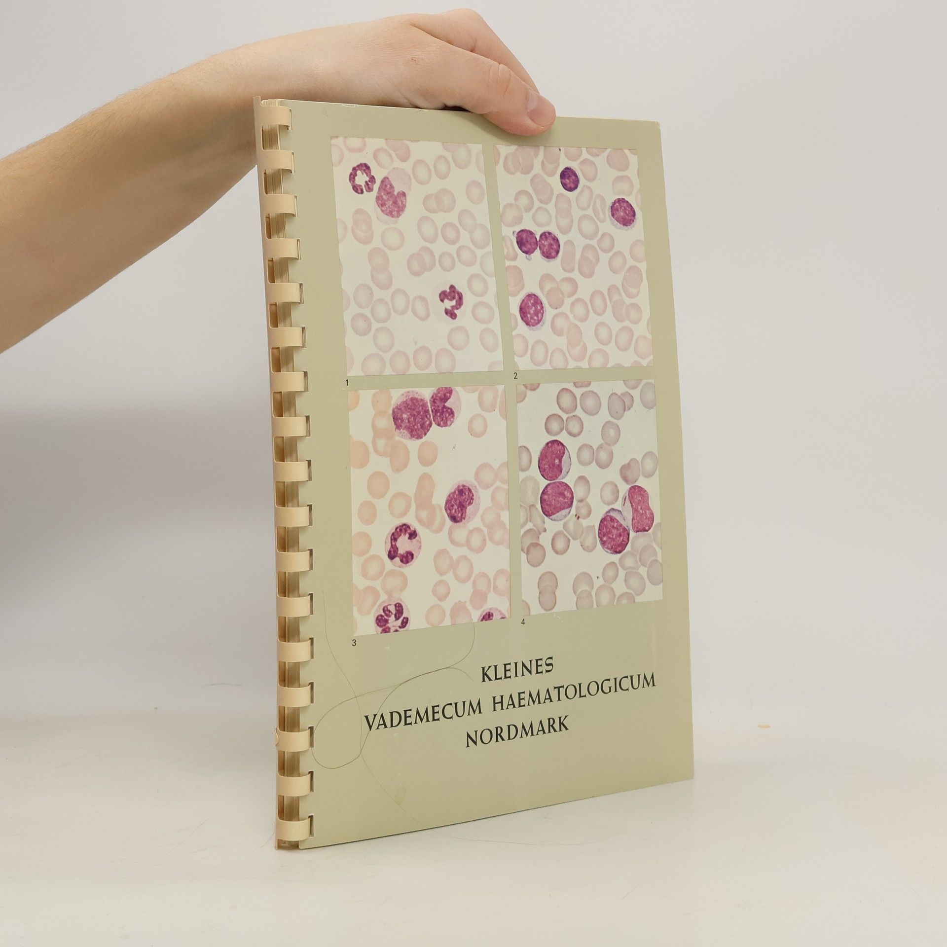 Autorenkollektiv Kleines Vademecum Haematologicum