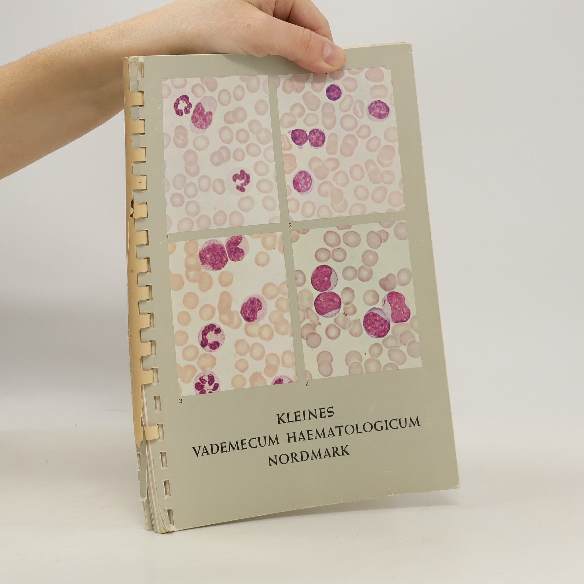 Autorenkollektiv Kleines Vademecum Haematologicum