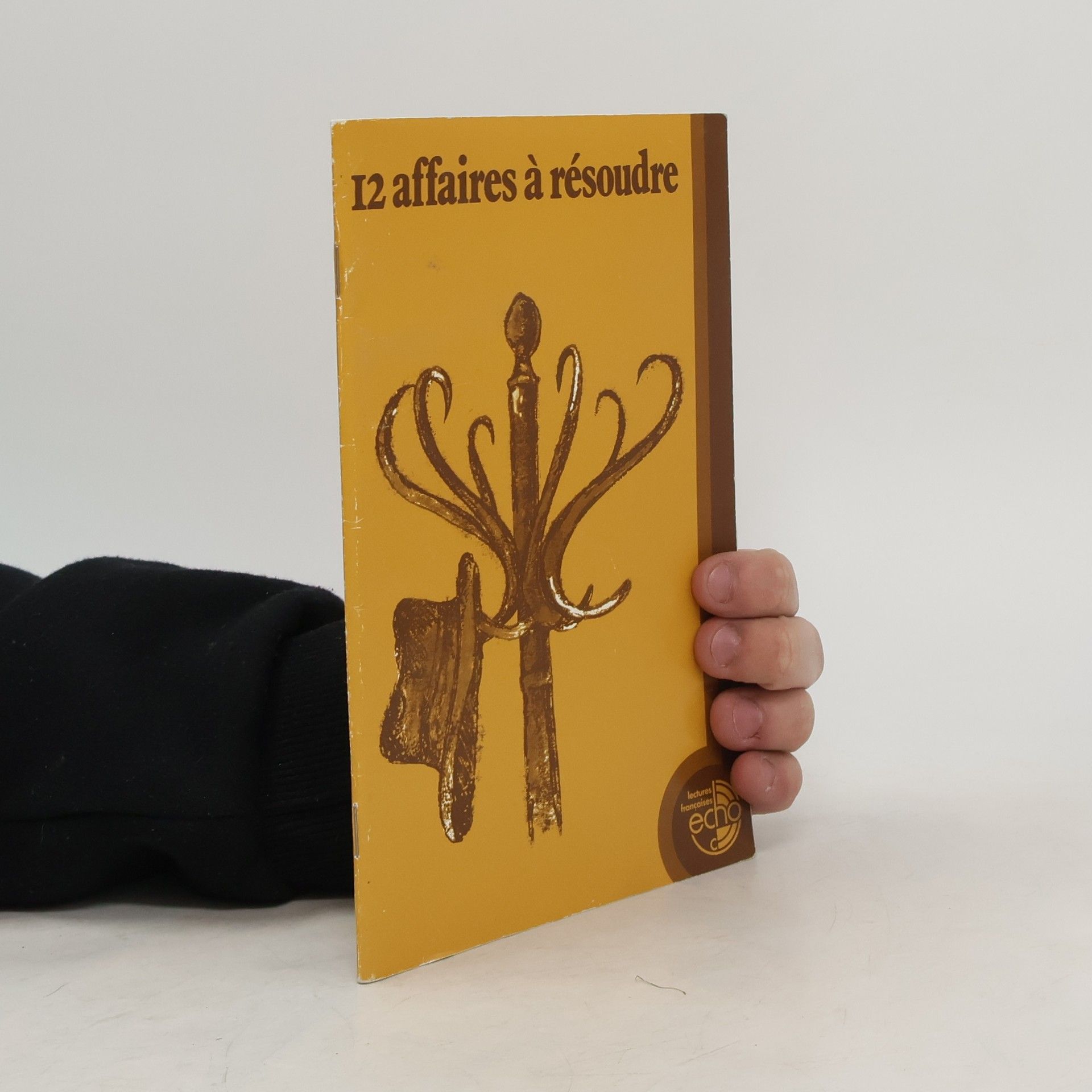 Kolektív autorov 12 [Douze] affaires à résoudre